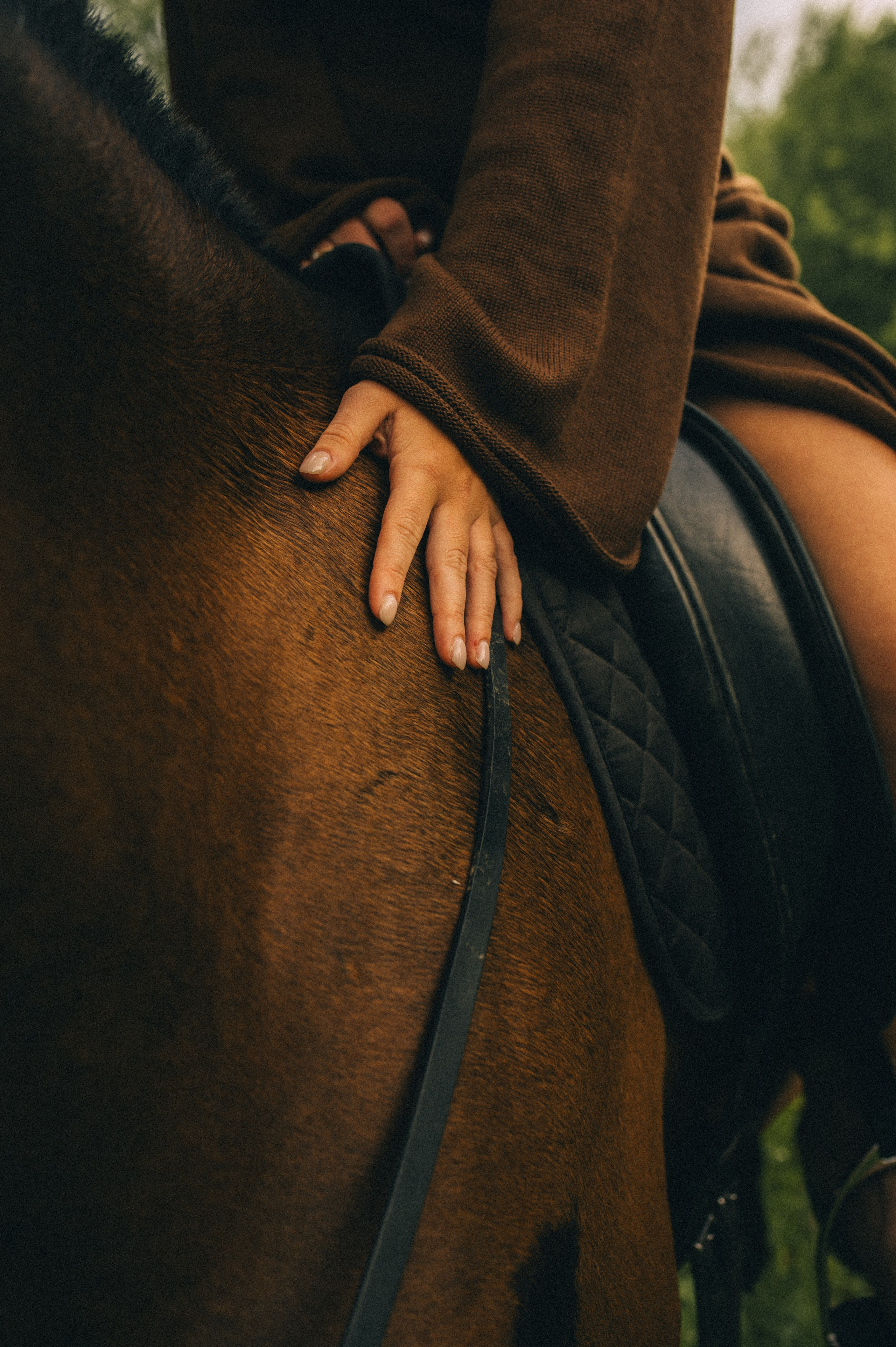 Лекса и Рим🐴. Лайфстайл фотограф в Москве Серебрянская Фаина