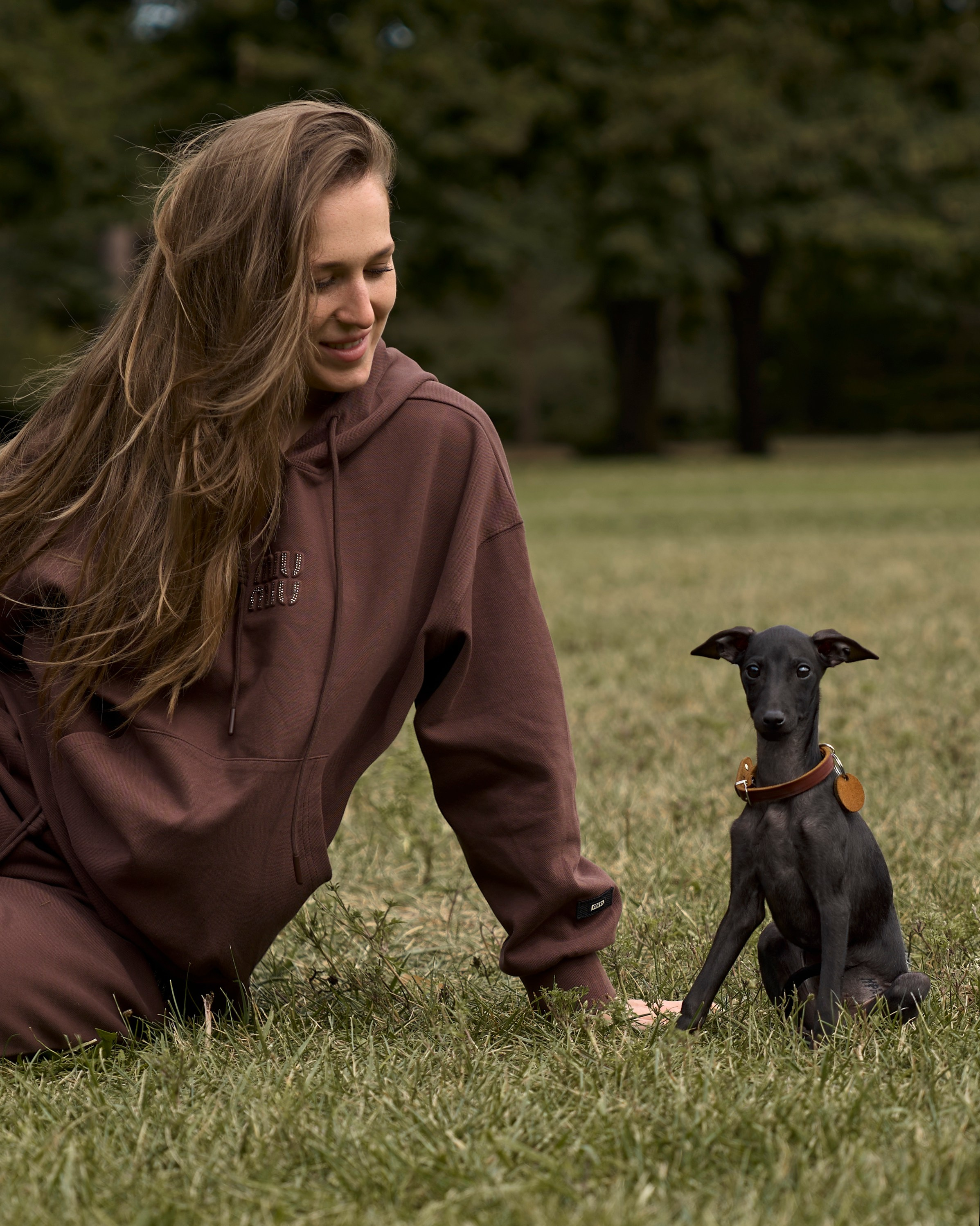 Собаки и люди