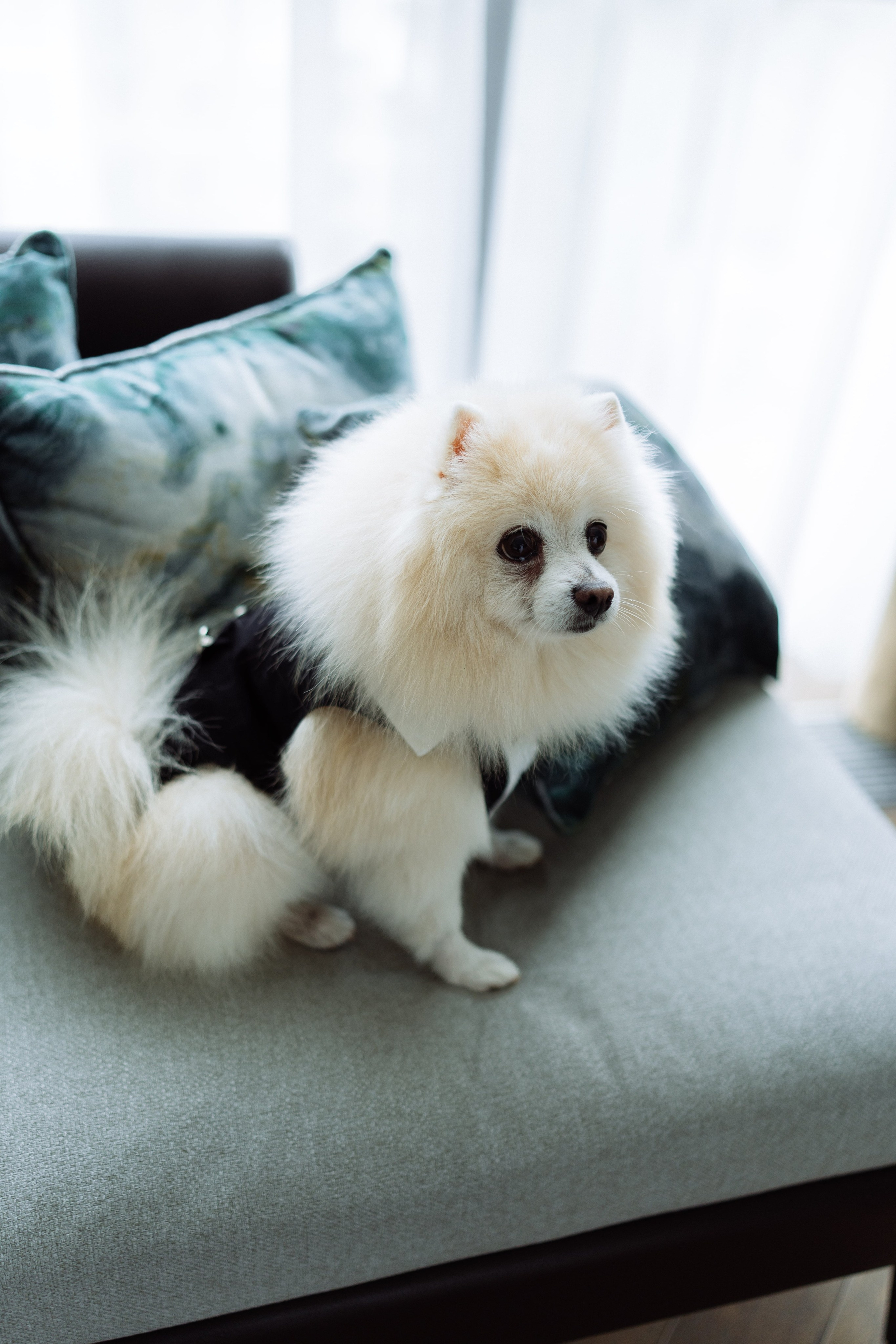 Свадьба Михаила и Екатерины