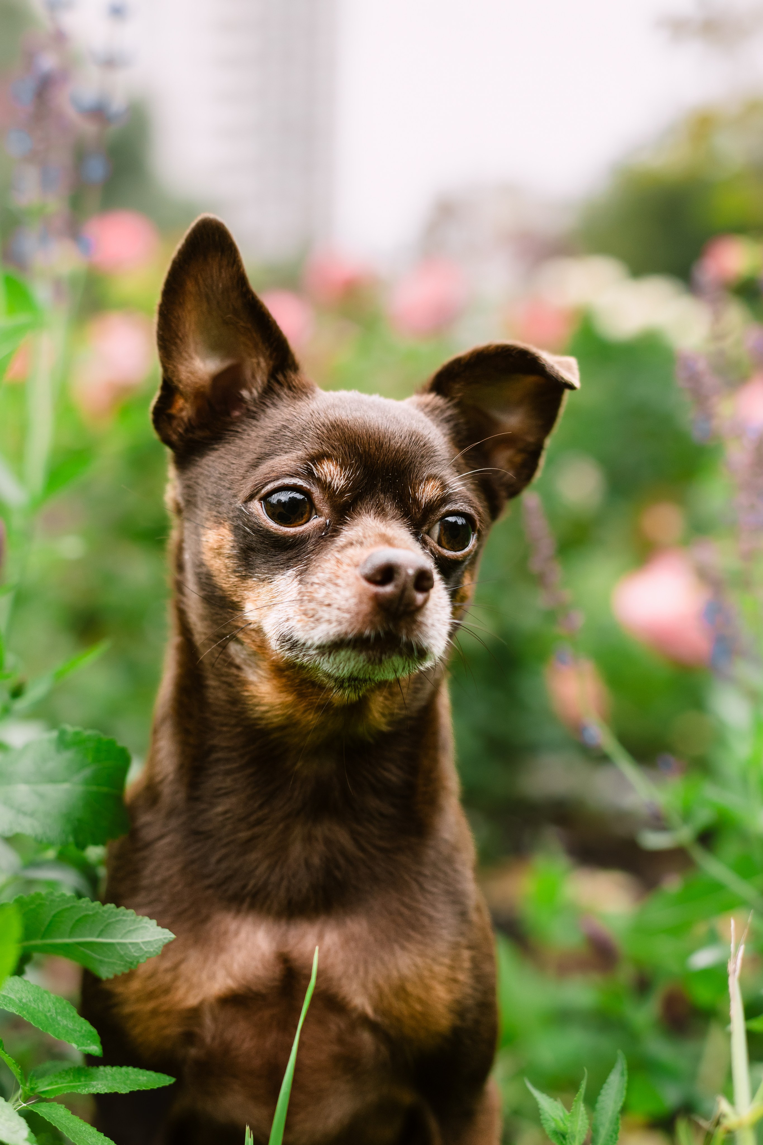 Юля и Леонид. Фотограф-анималист Татьяна Степанова