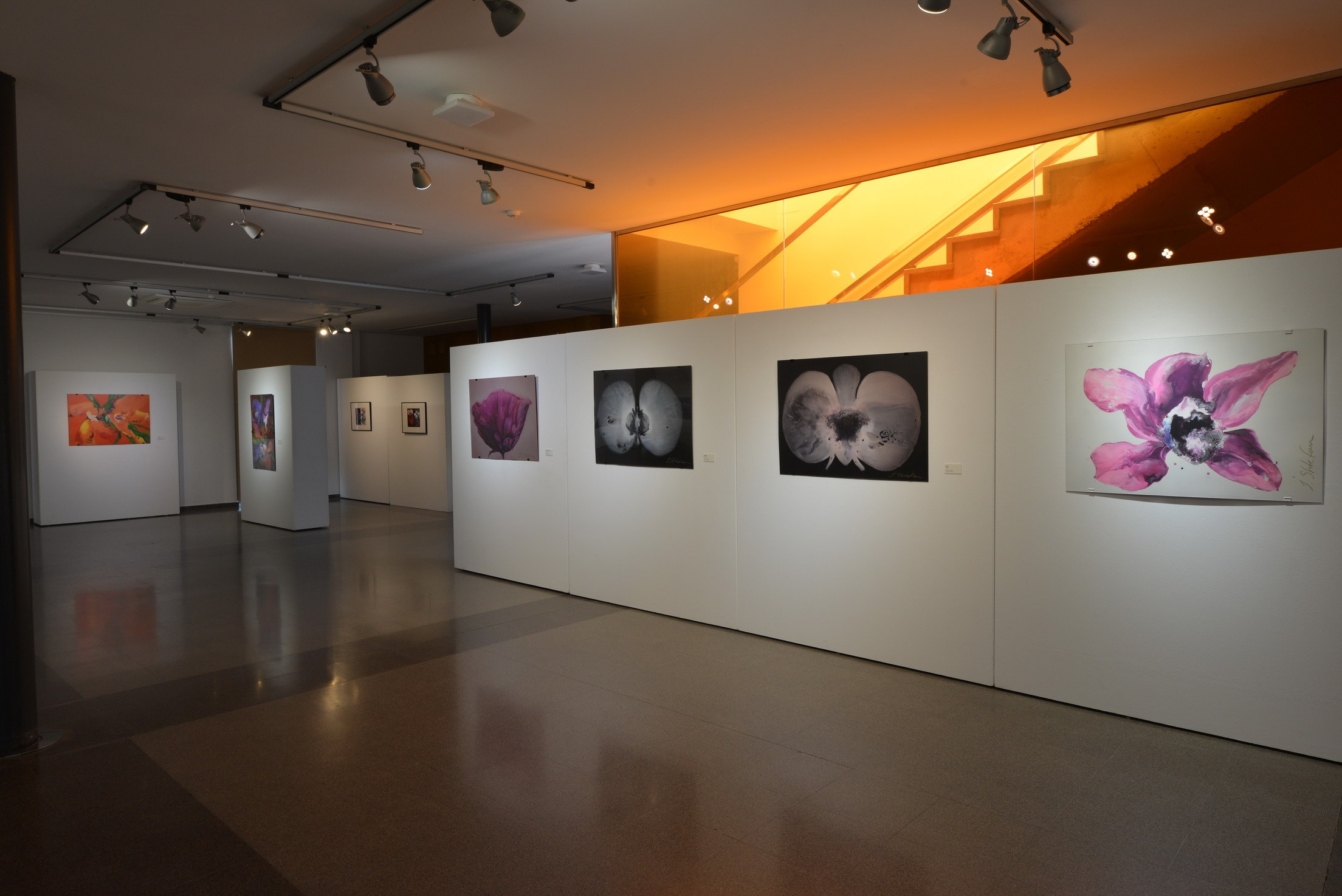 Exposición de Arte Abstracto. Fotógrafo Aleksandr Rybintsev