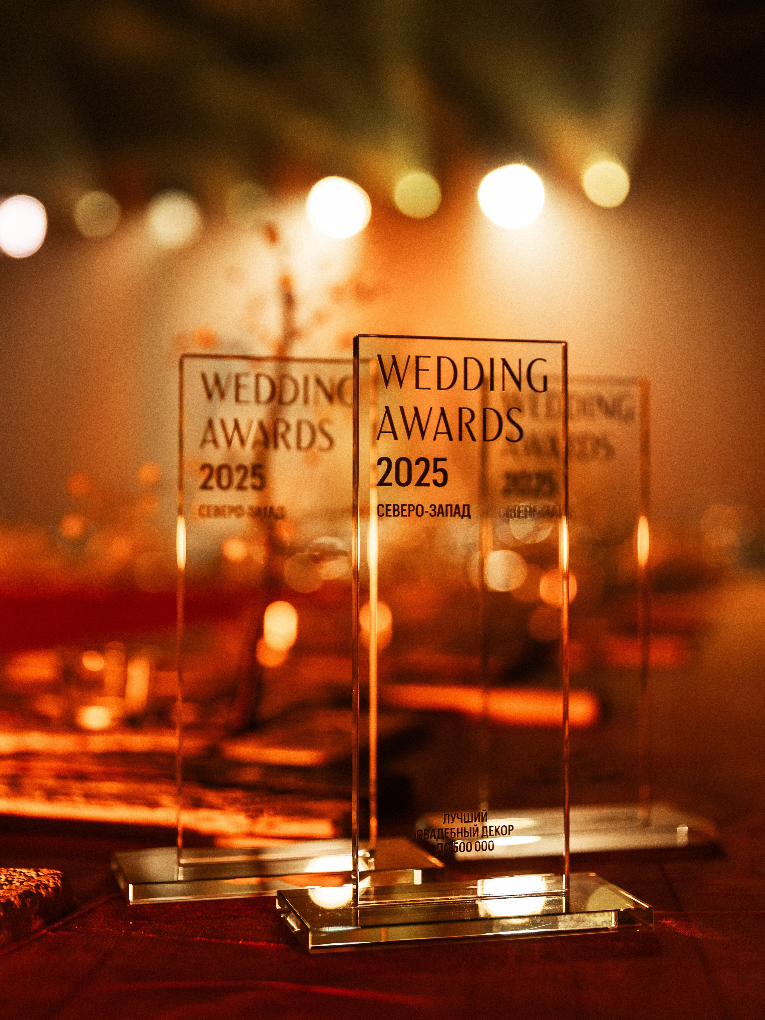 Wedding Awards NW 2025. NesterovaMaria.ru