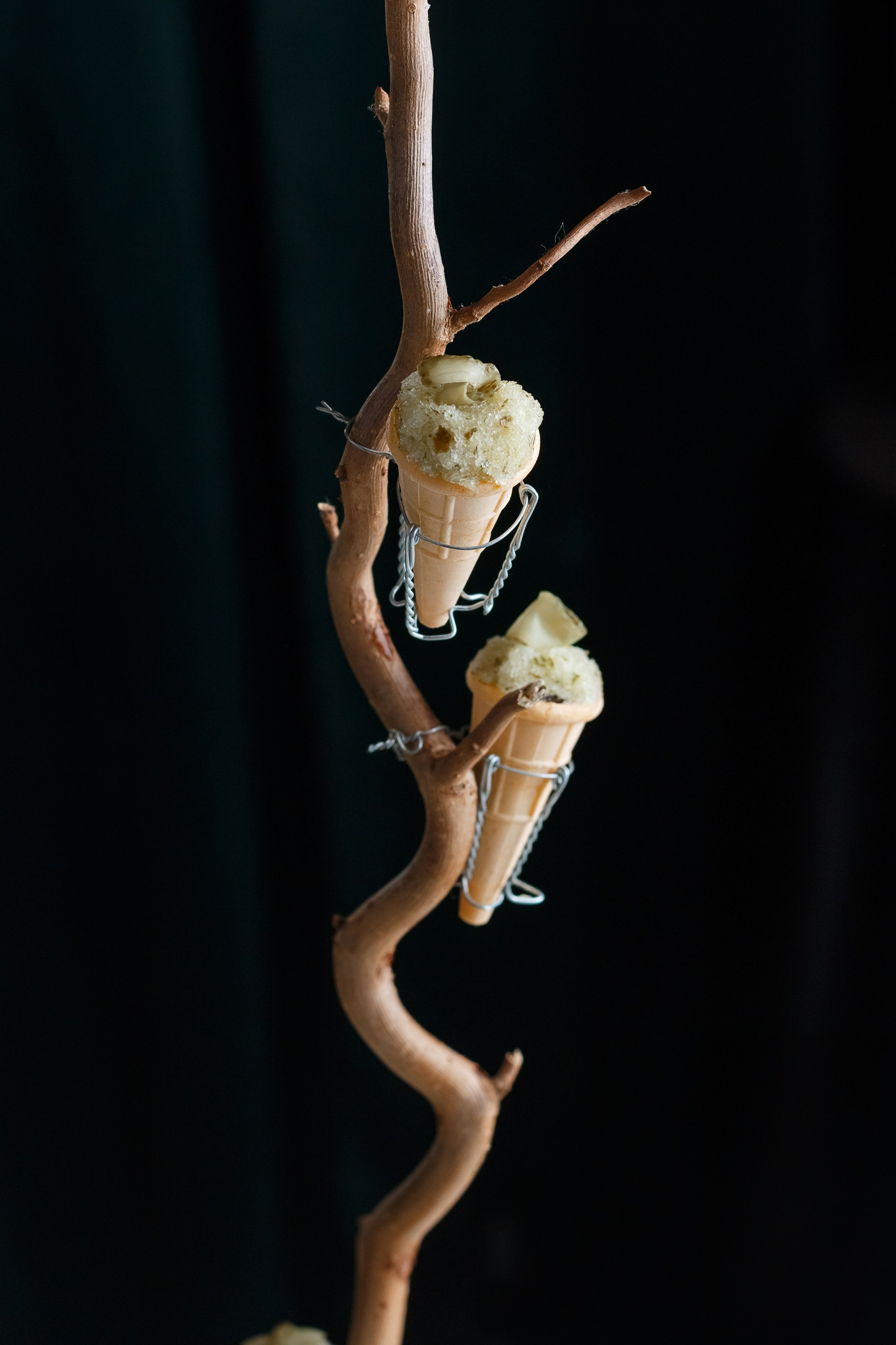 Dolce Vita «Икорная Вечеринка». Свадебный и репортажный фотограф Калининград