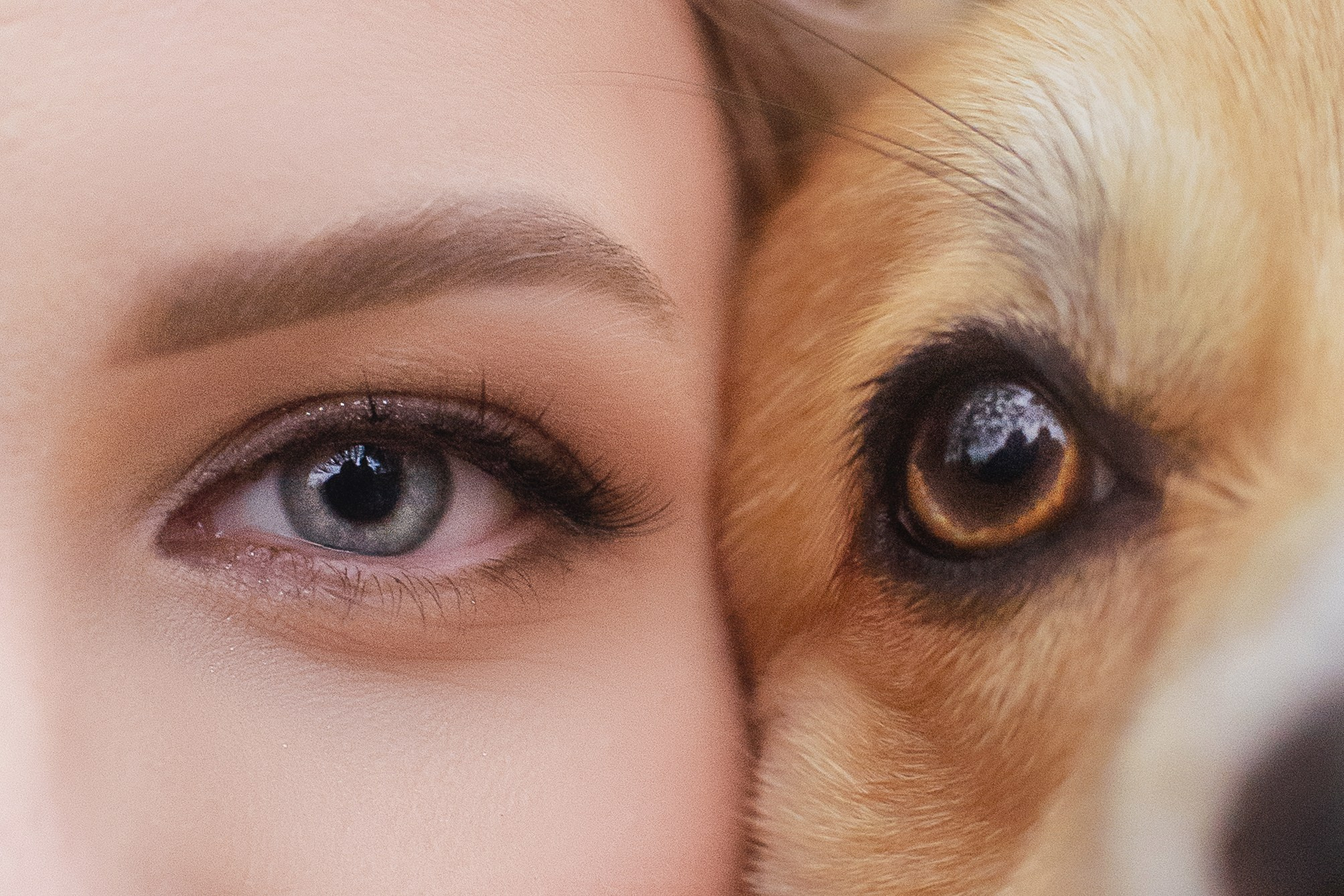 Женя и Феникс — 05.10.2024. Фотограф — Анималист | Анна Абрамова