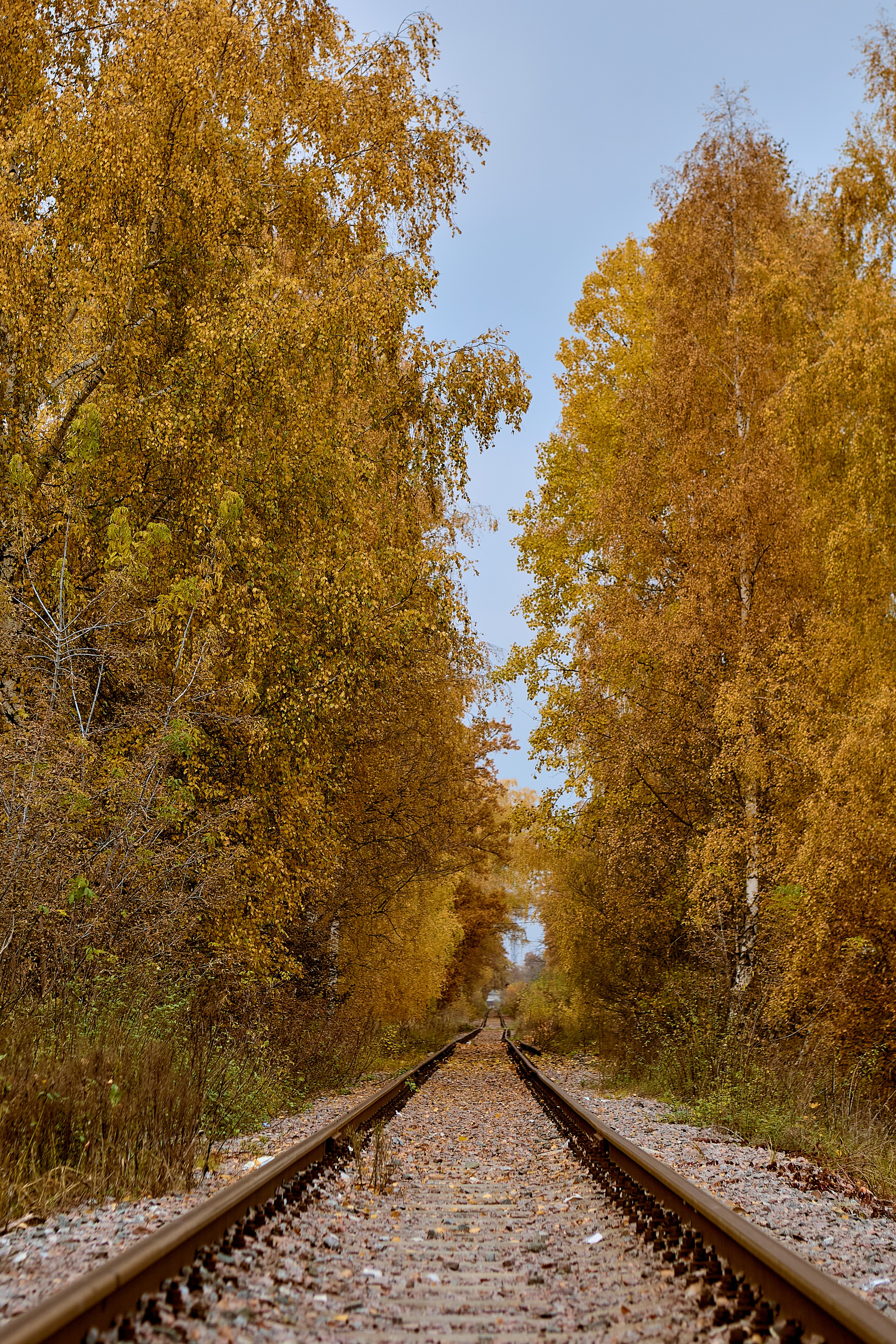 Фотографии природы
