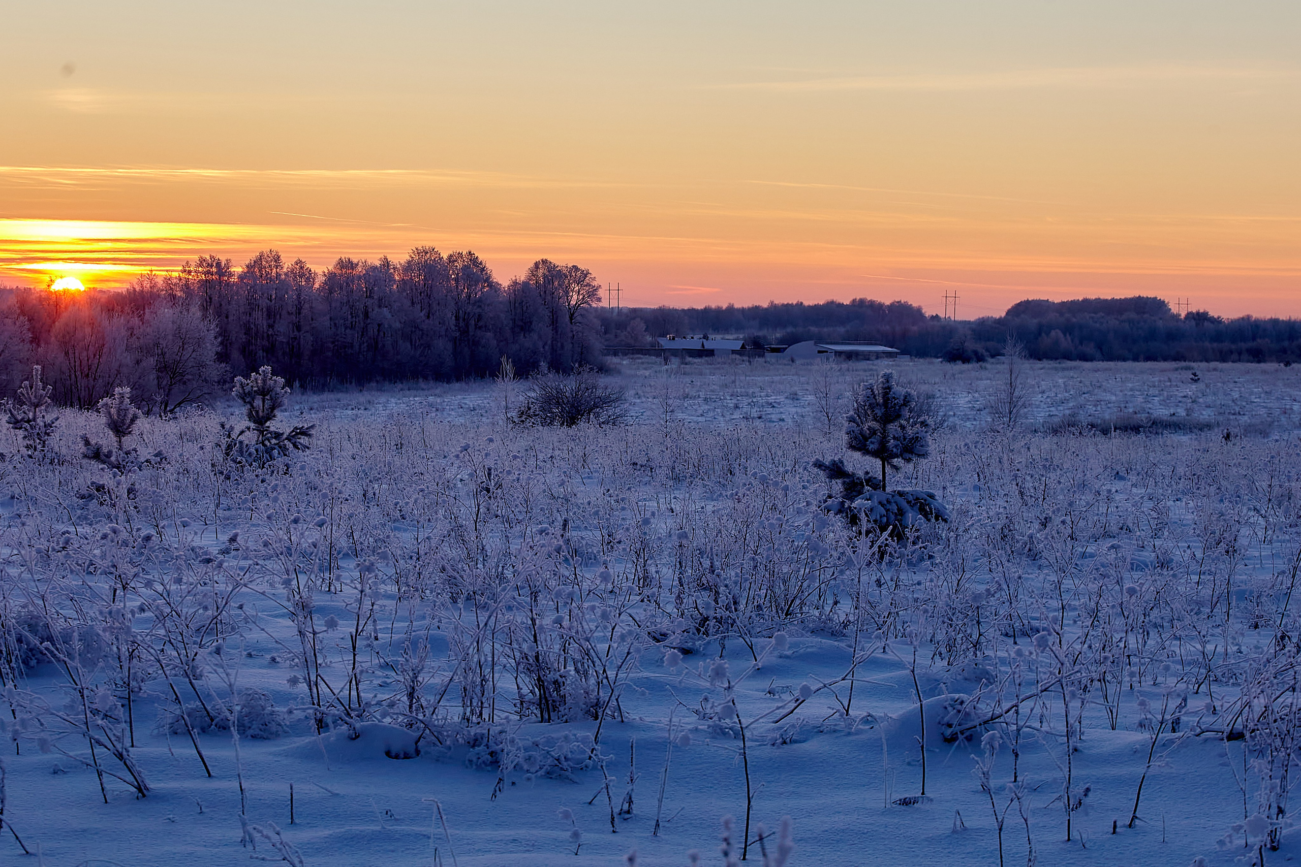 Фотографии природы