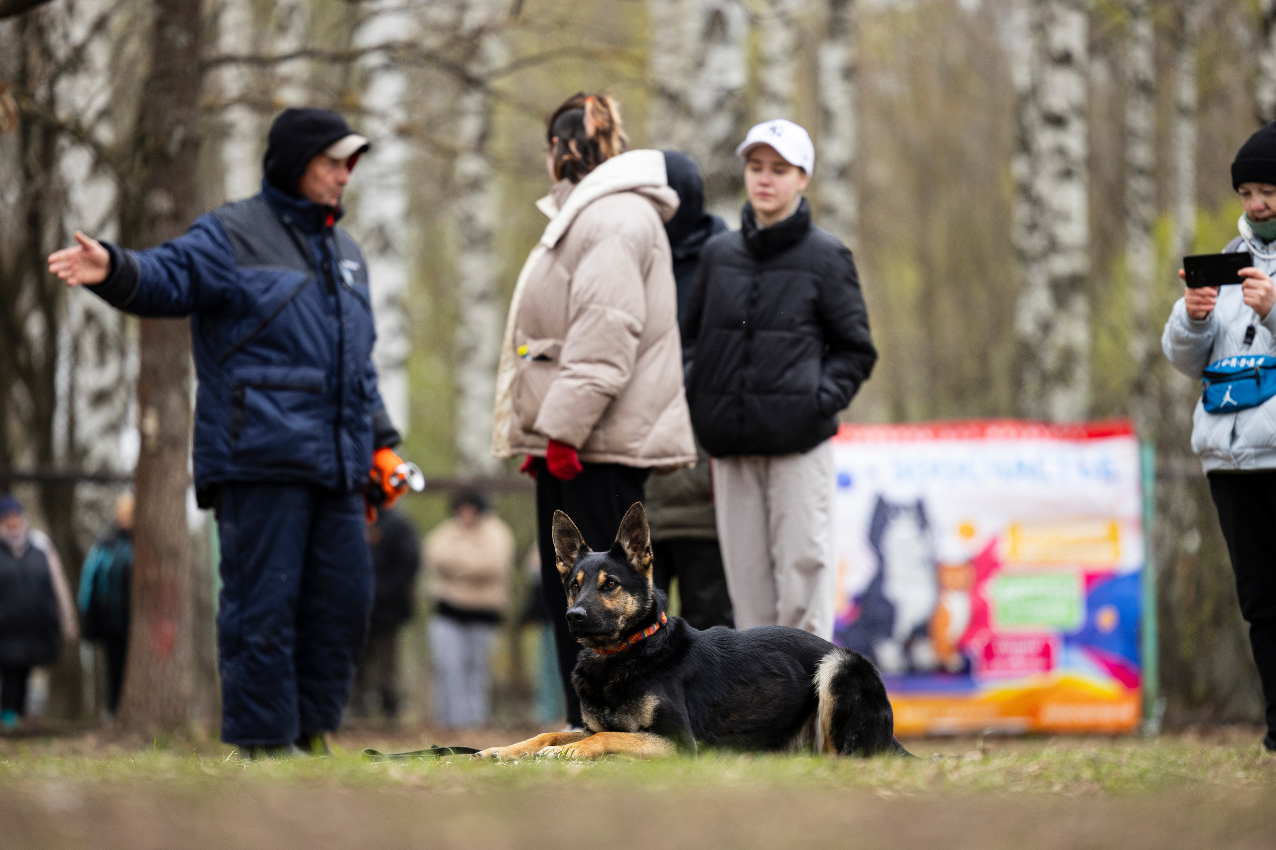 Квалификационные состязания по мондьорингу г. Вологда 11.05.24. Фотограф-анималист Анна Маринич