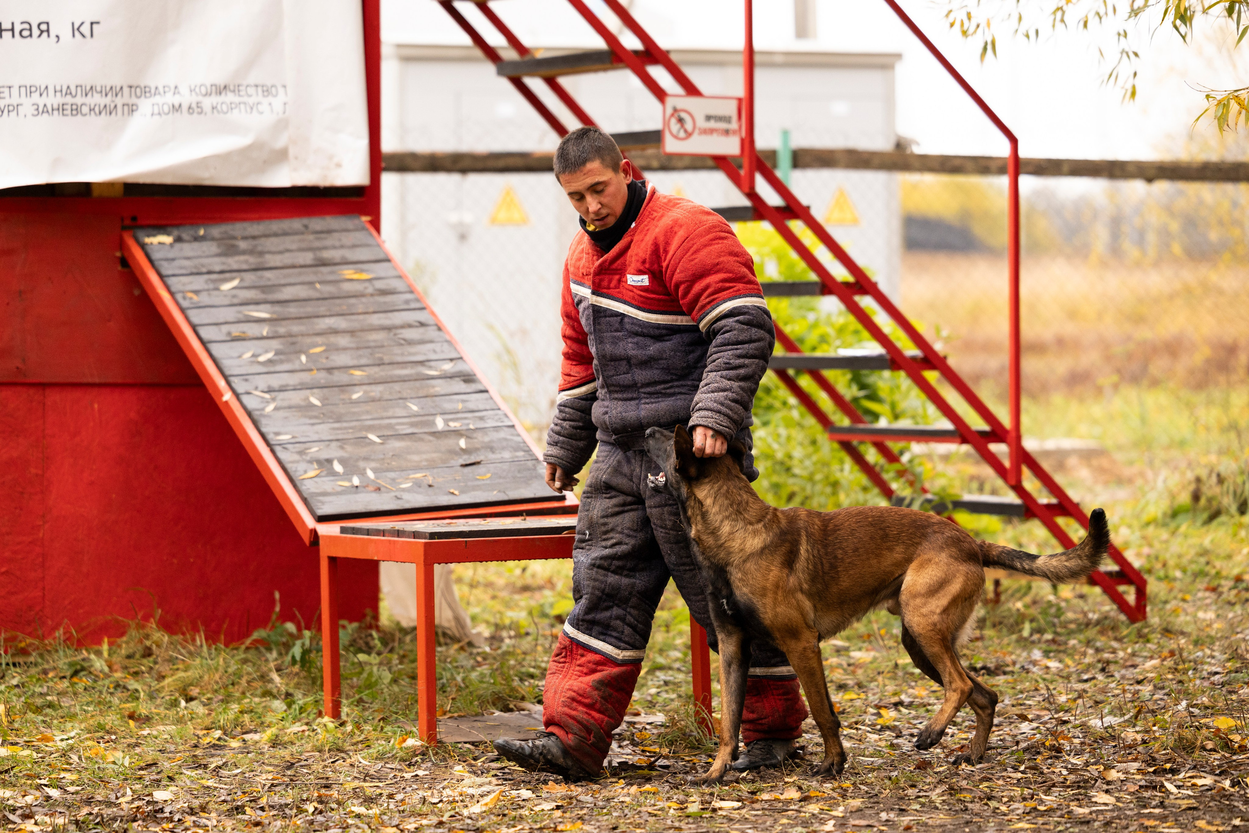 Соревнования по Мондьорингу г. Вологда. Фотограф-анималист Анна Маринич