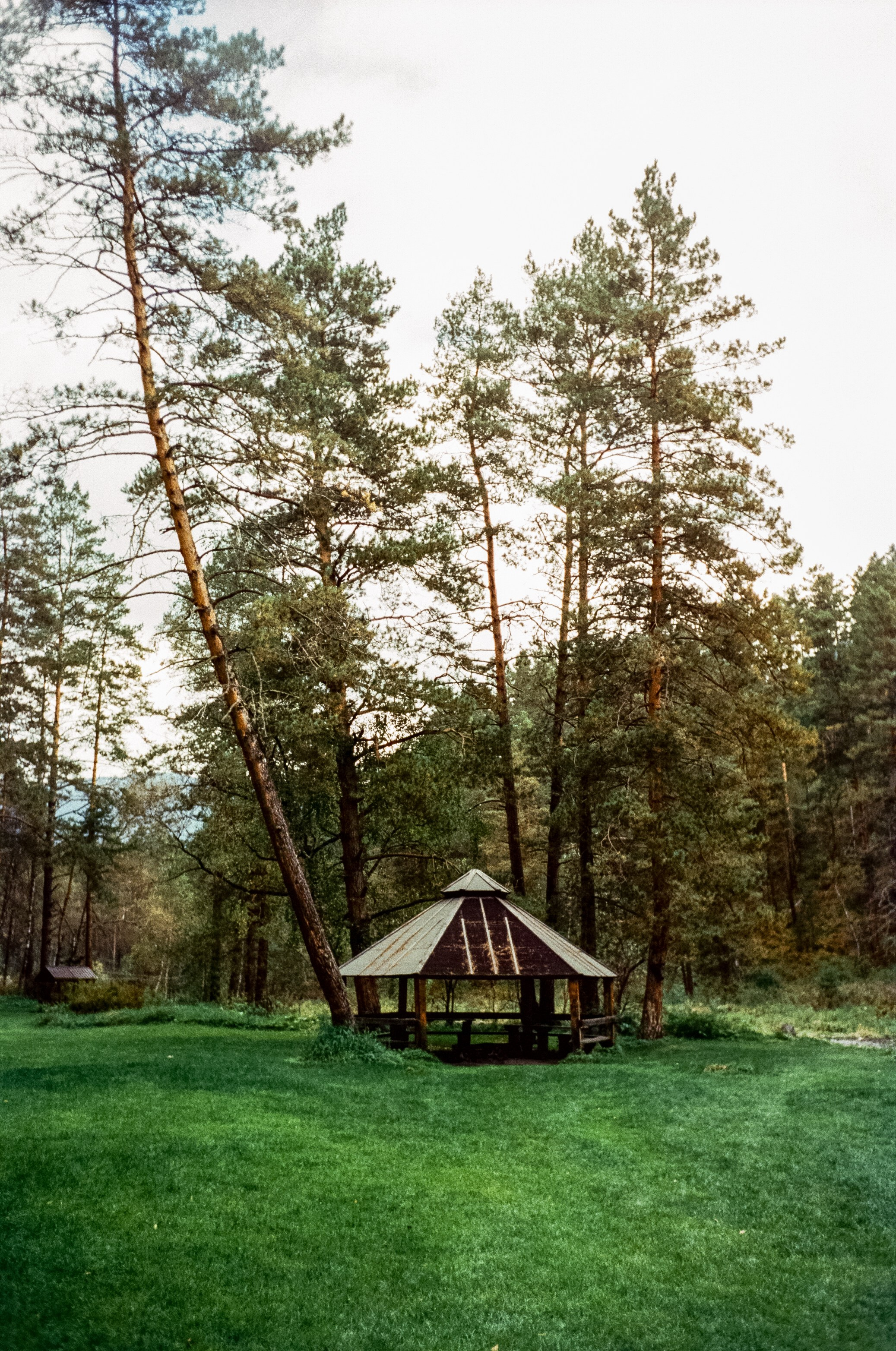 Горный Алтай на пленку