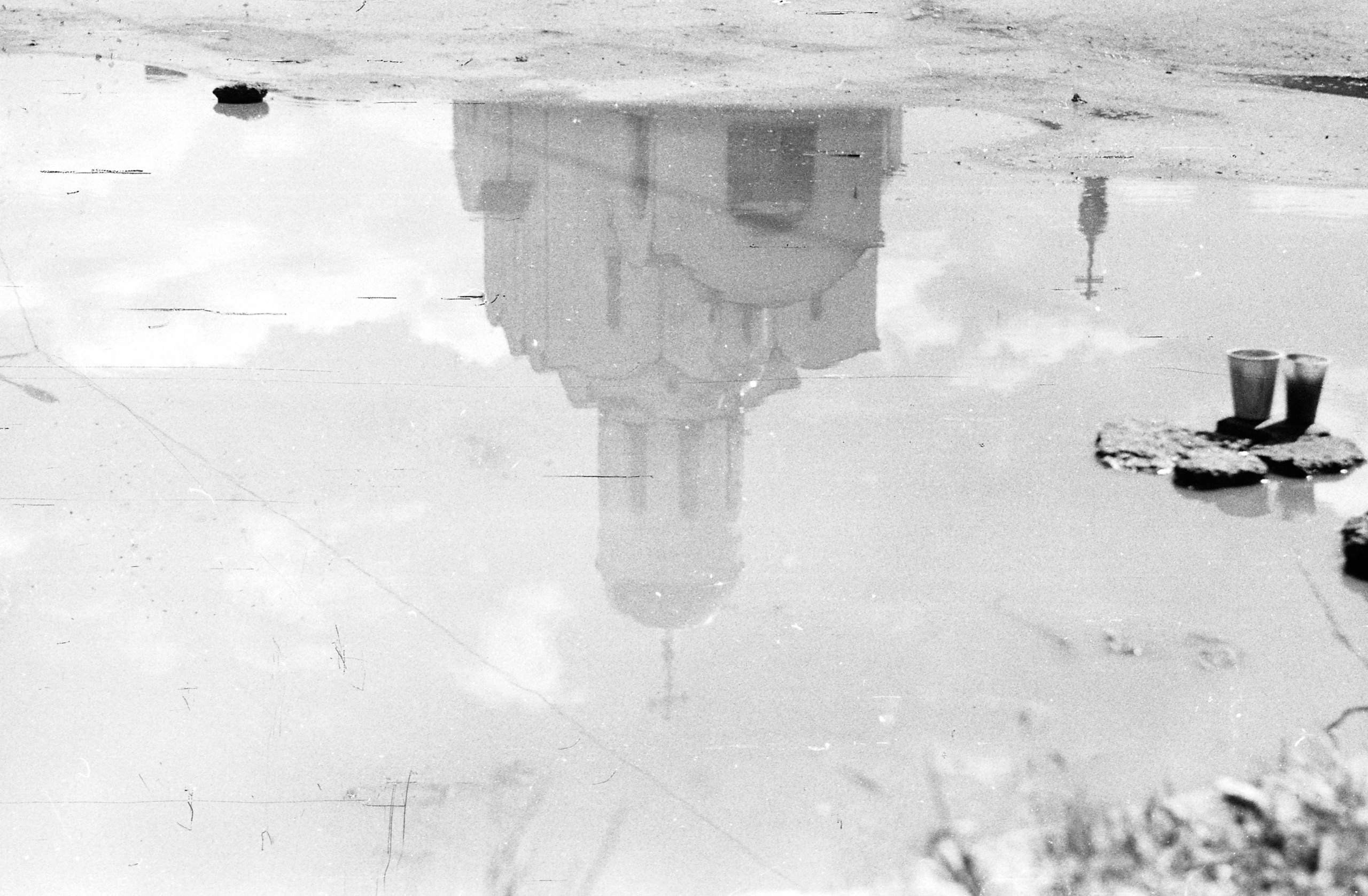 Black-white. Julia Gorbunova