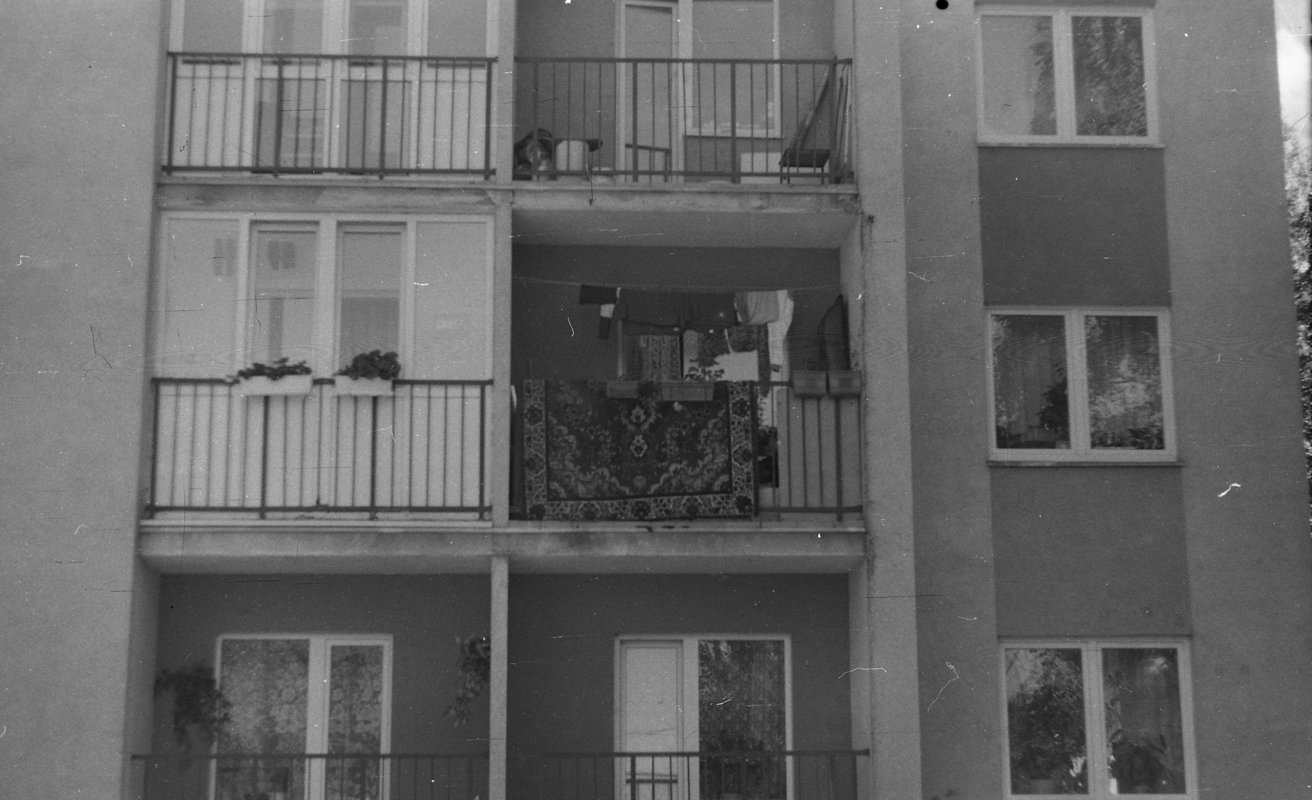 Black-white. Julia Gorbunova