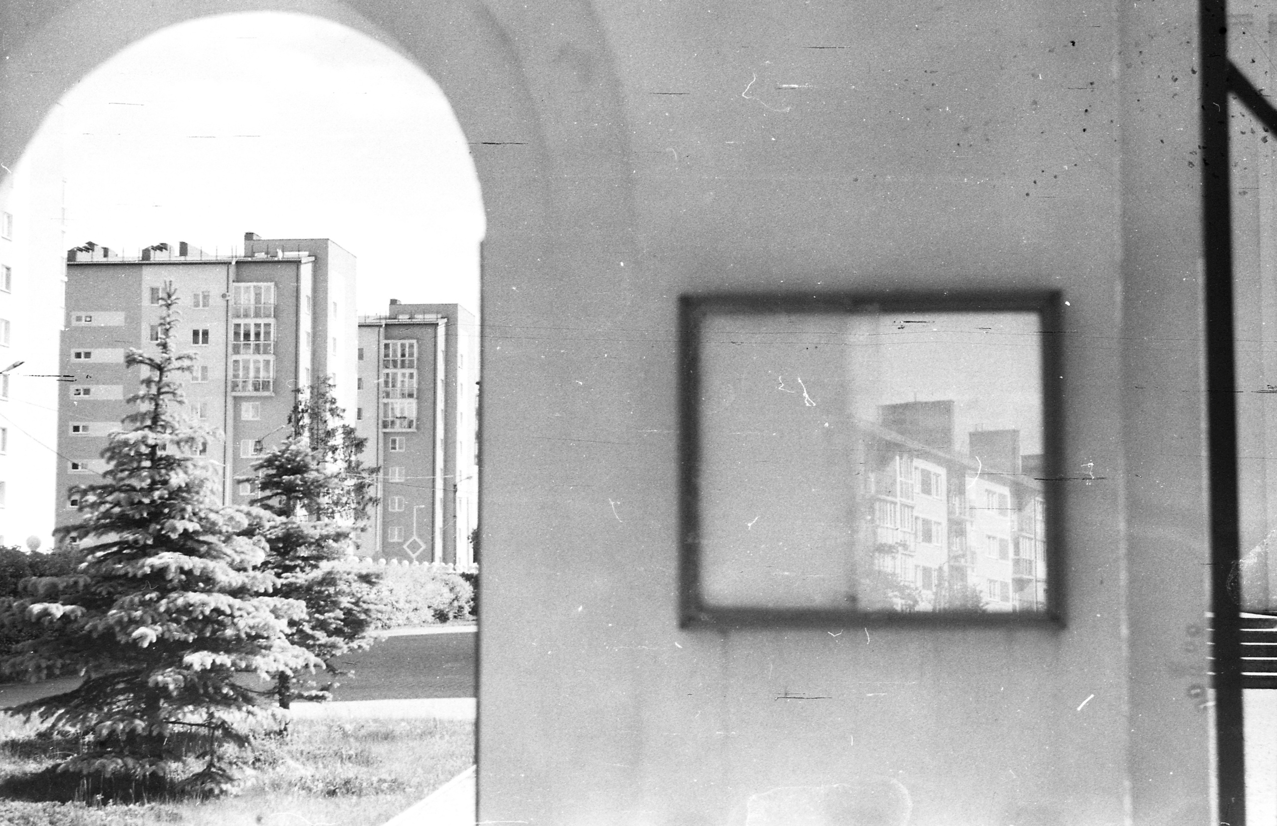 Black-white. Julia Gorbunova