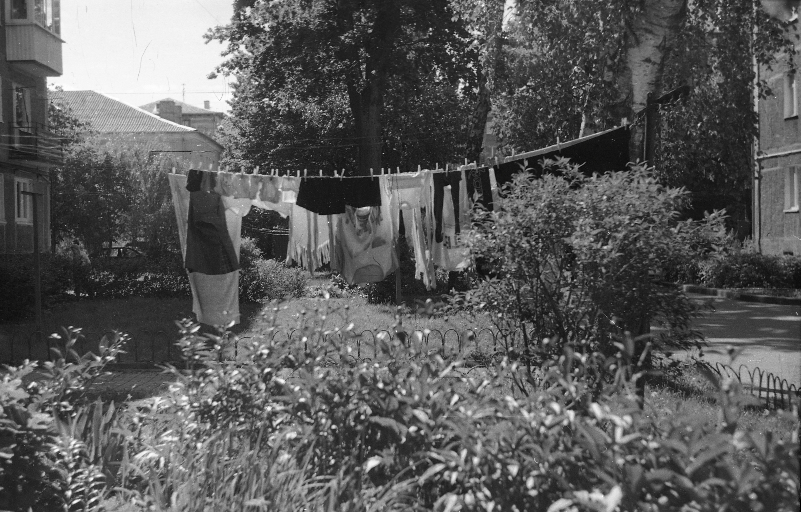 Black-white. Julia Gorbunova