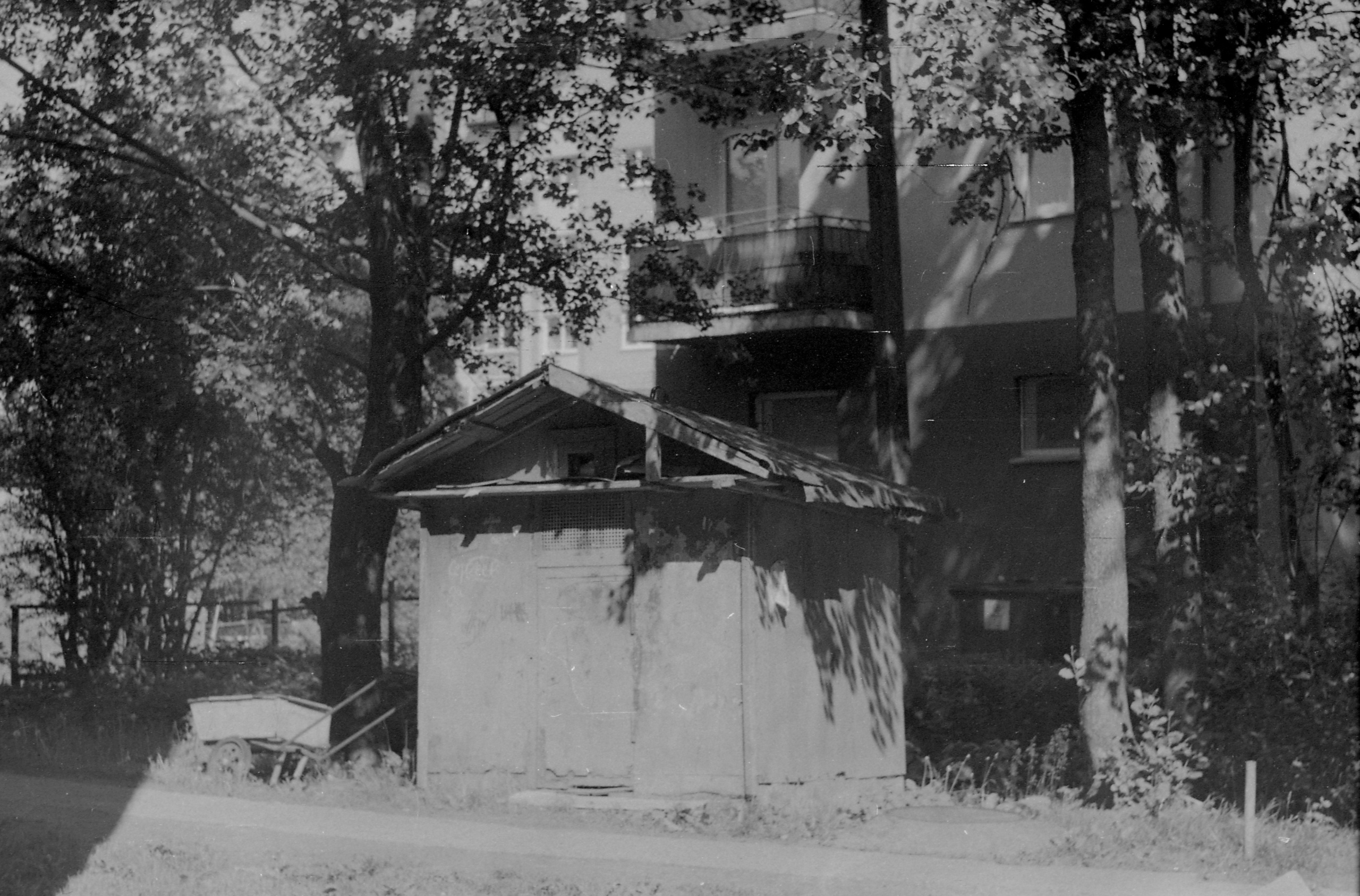 Black-white. Julia Gorbunova