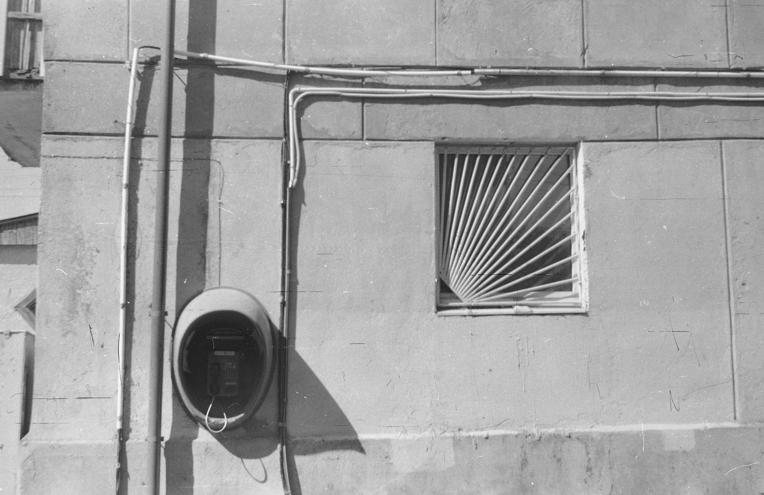 Black-white. Julia Gorbunova