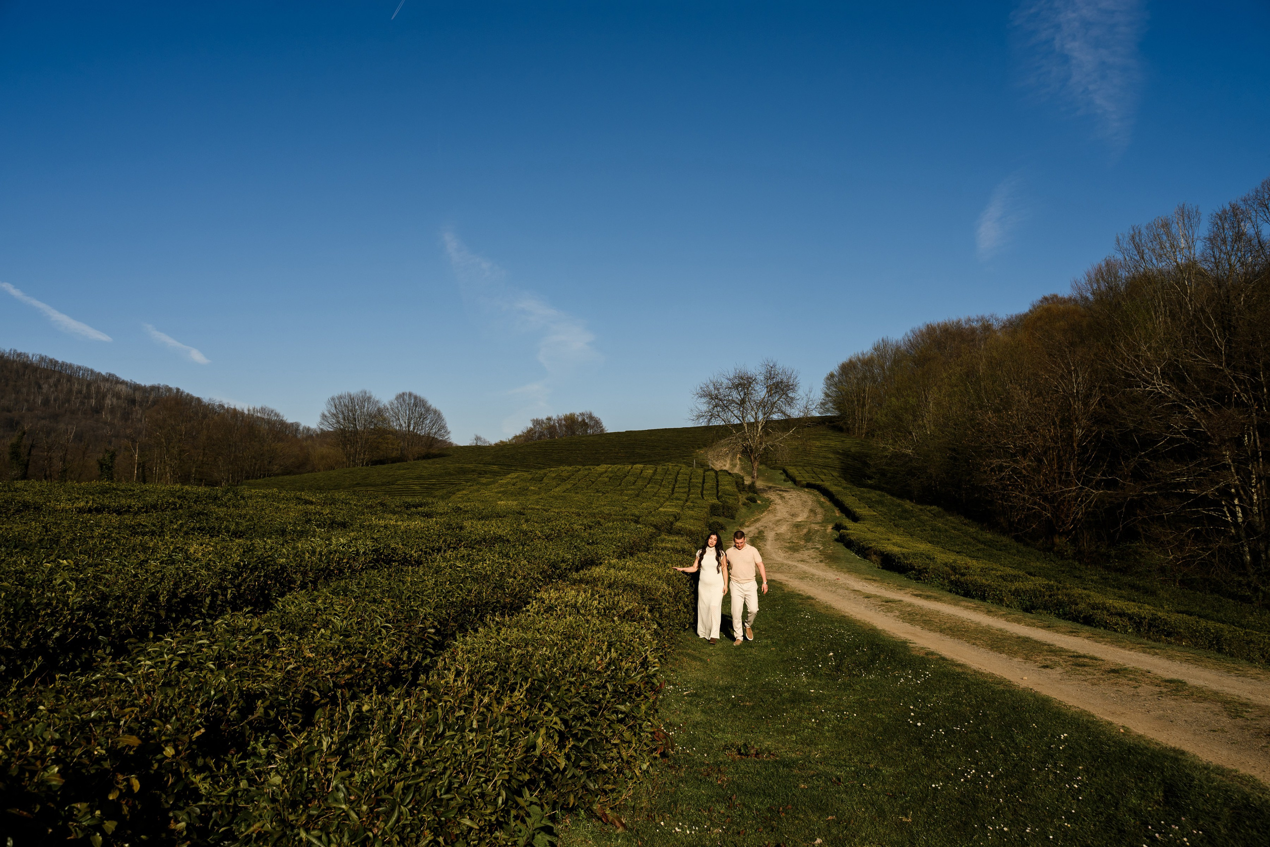 Гендер Пати. Фотограф в сочи Свадебный фотограф Сочи