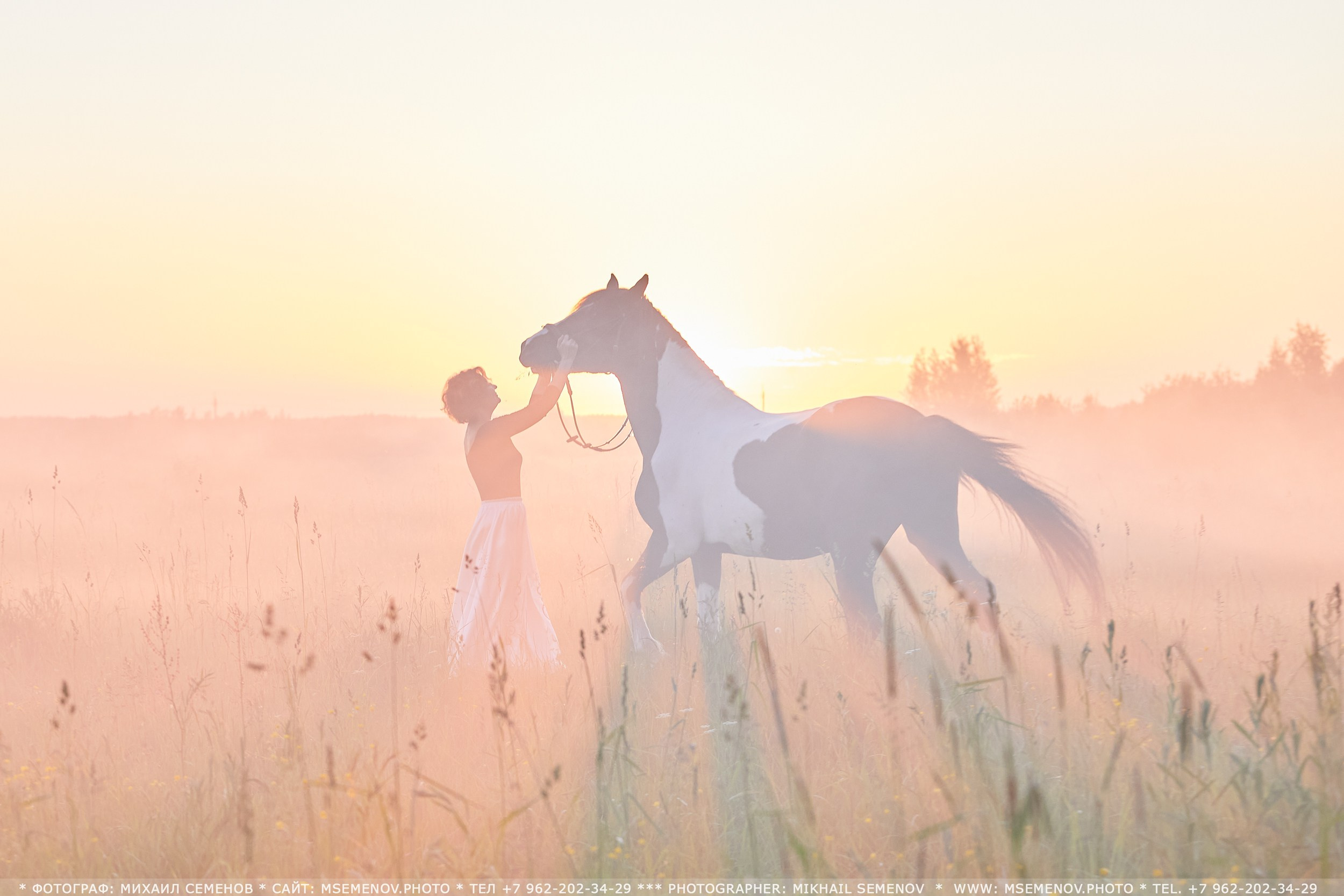 Фотосессия с лошадьми в г. Ярославль. Фотограф Михаил Семенов