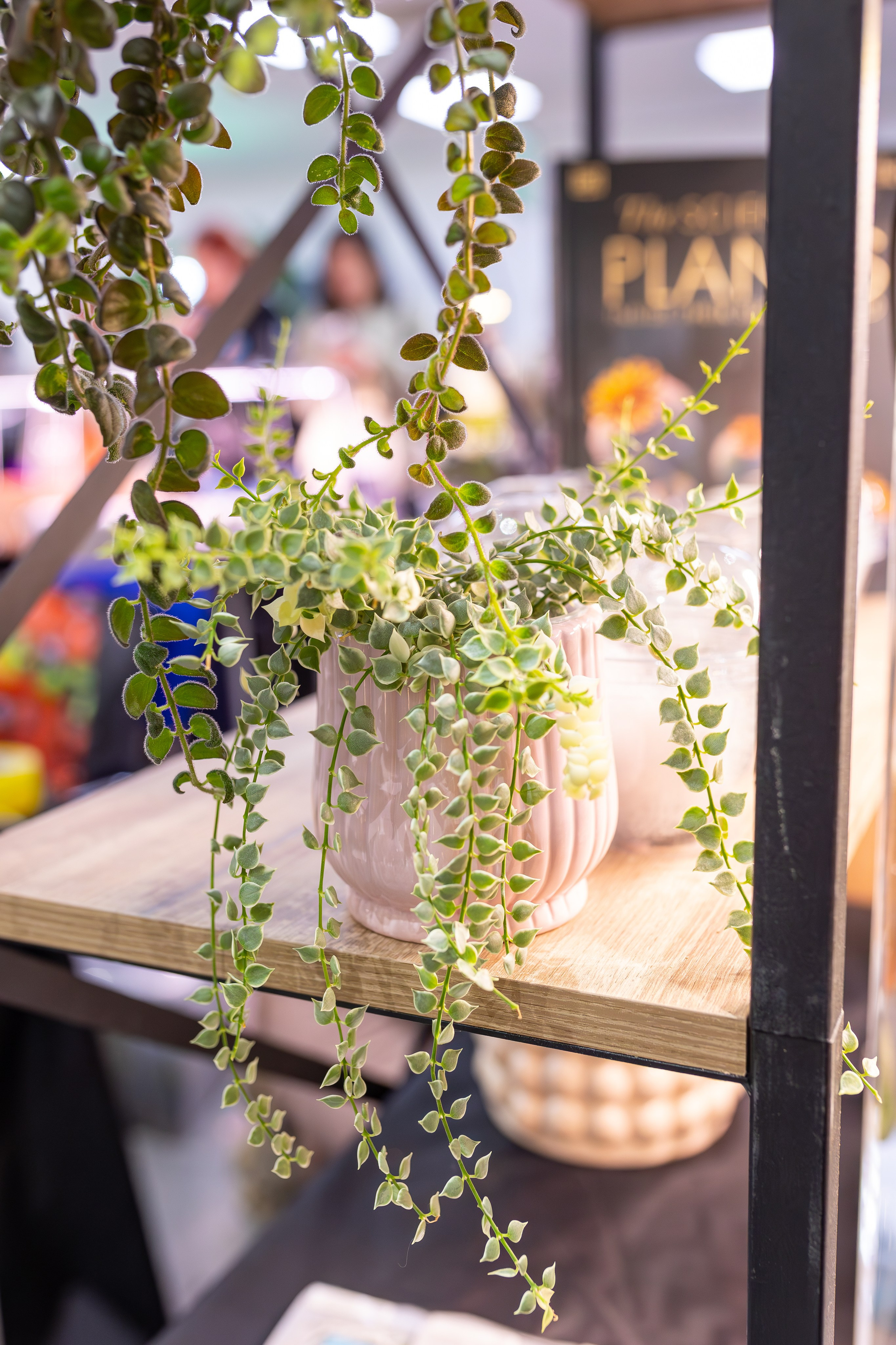 Монстериум 11–12 октября. Александра Куликова фотограф, Москва