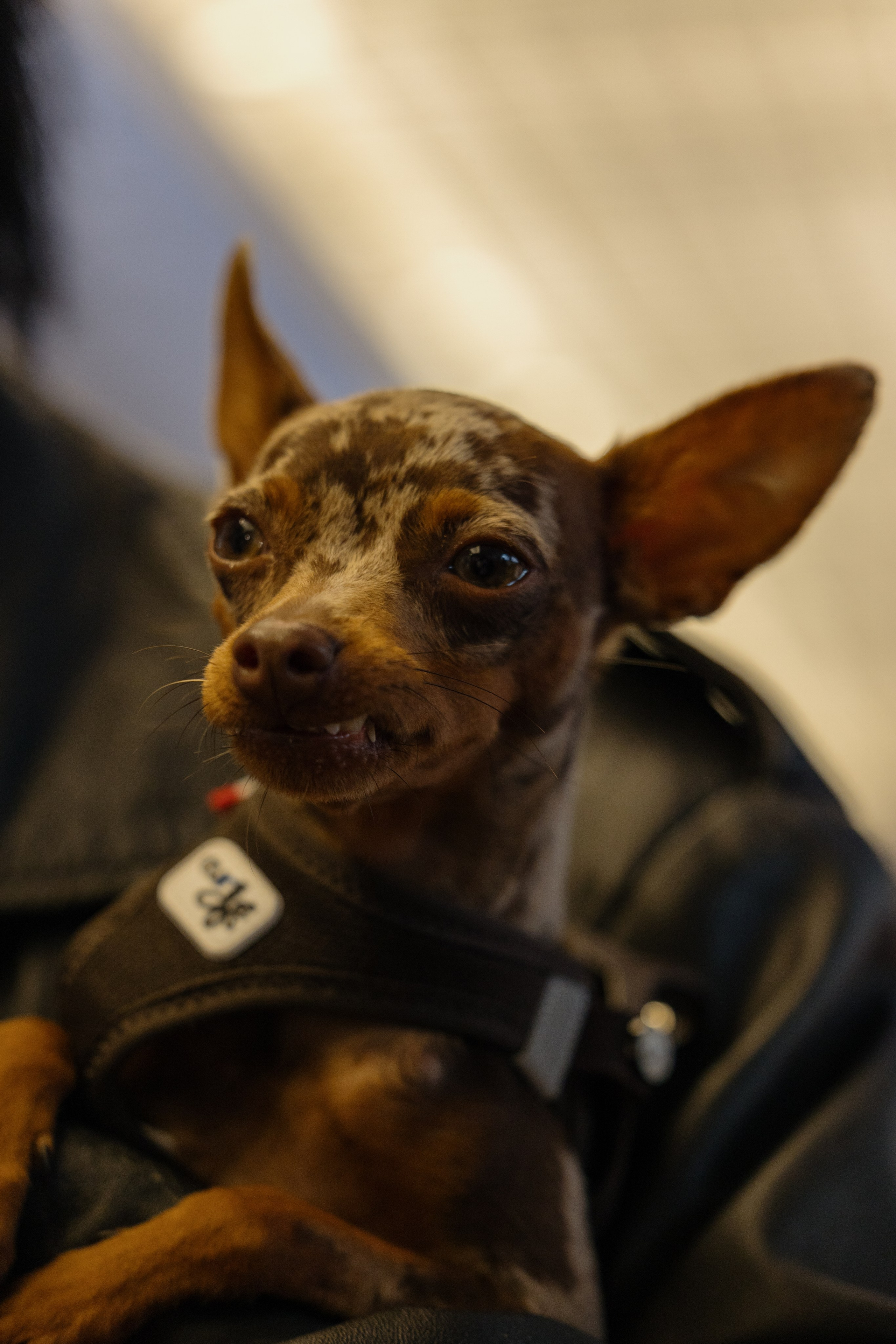 VICTORIA TOMAS. Photographer in Milan Ivan Goncharov