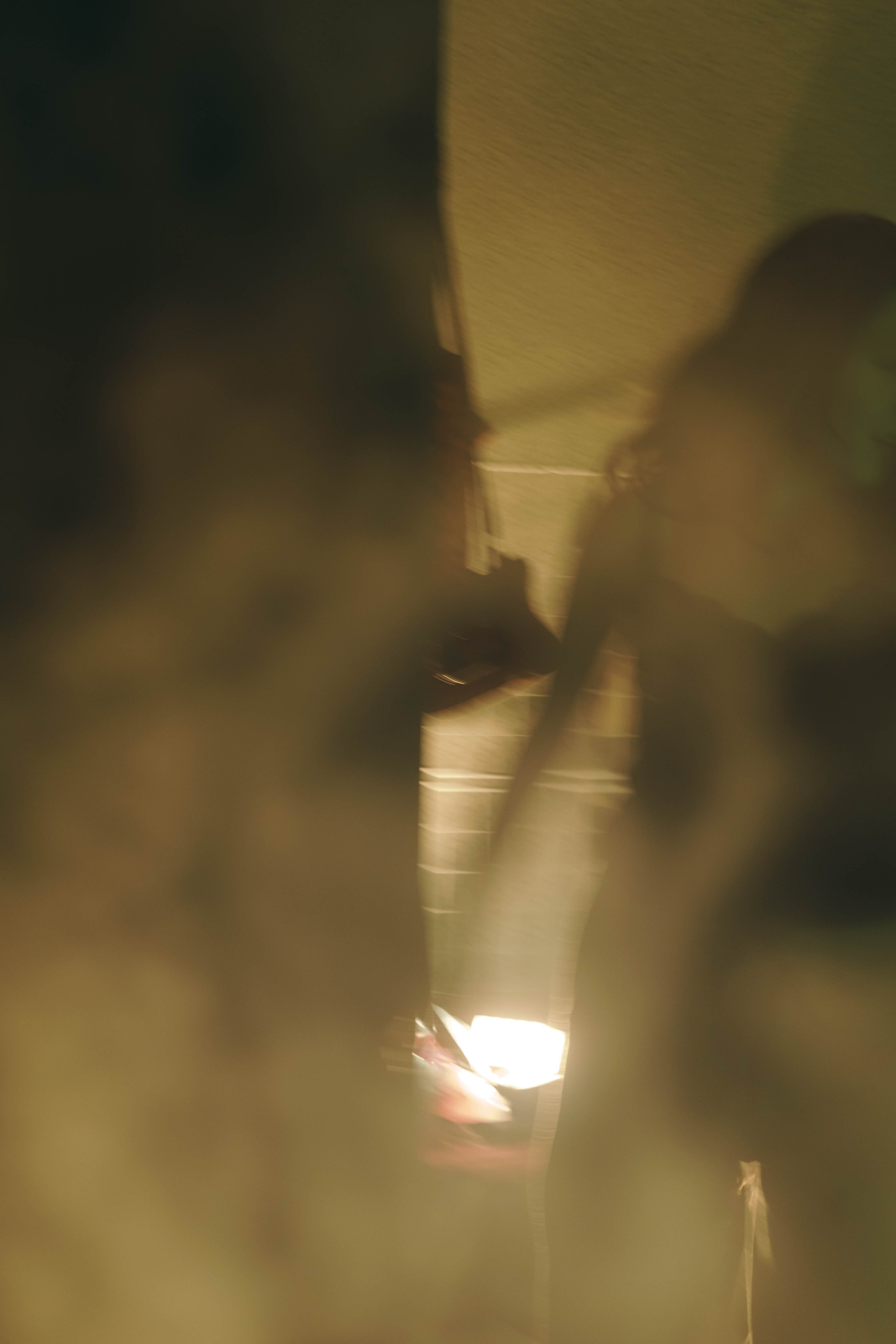 Милена. Фотограф-анималист Ксения Воробьева, Москва