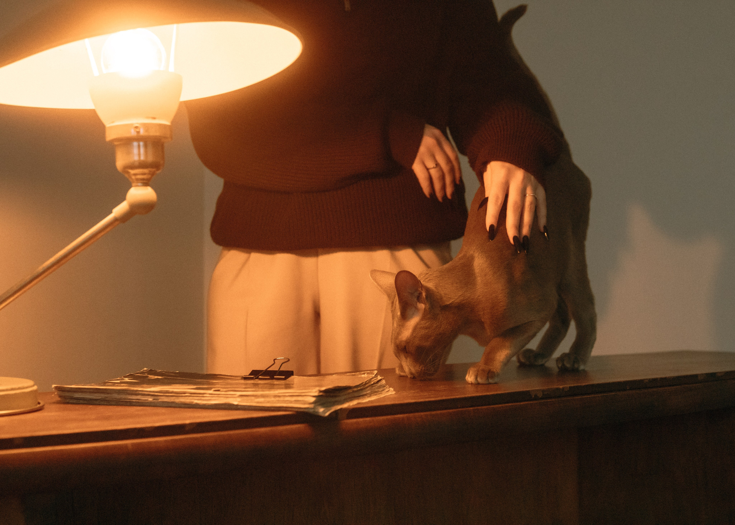 Амина, Булат и Орион. Фотограф-анималист Ксения Воробьева, Москва