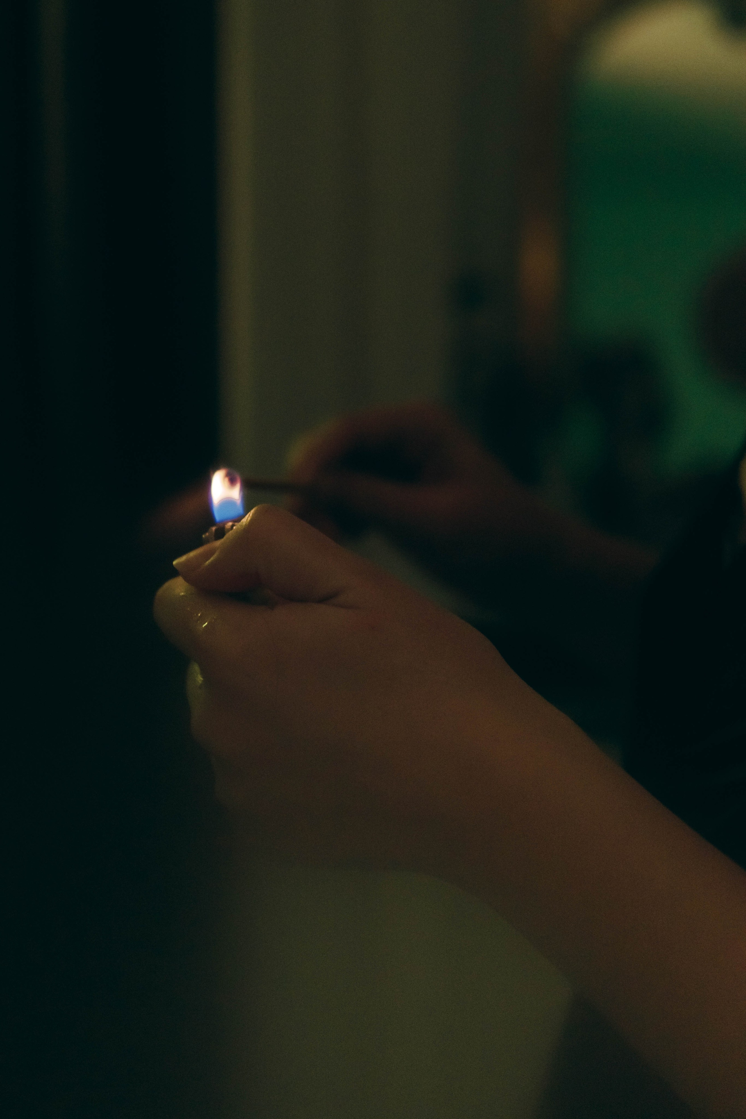 Милена. Фотограф-анималист Ксения Воробьева, Москва