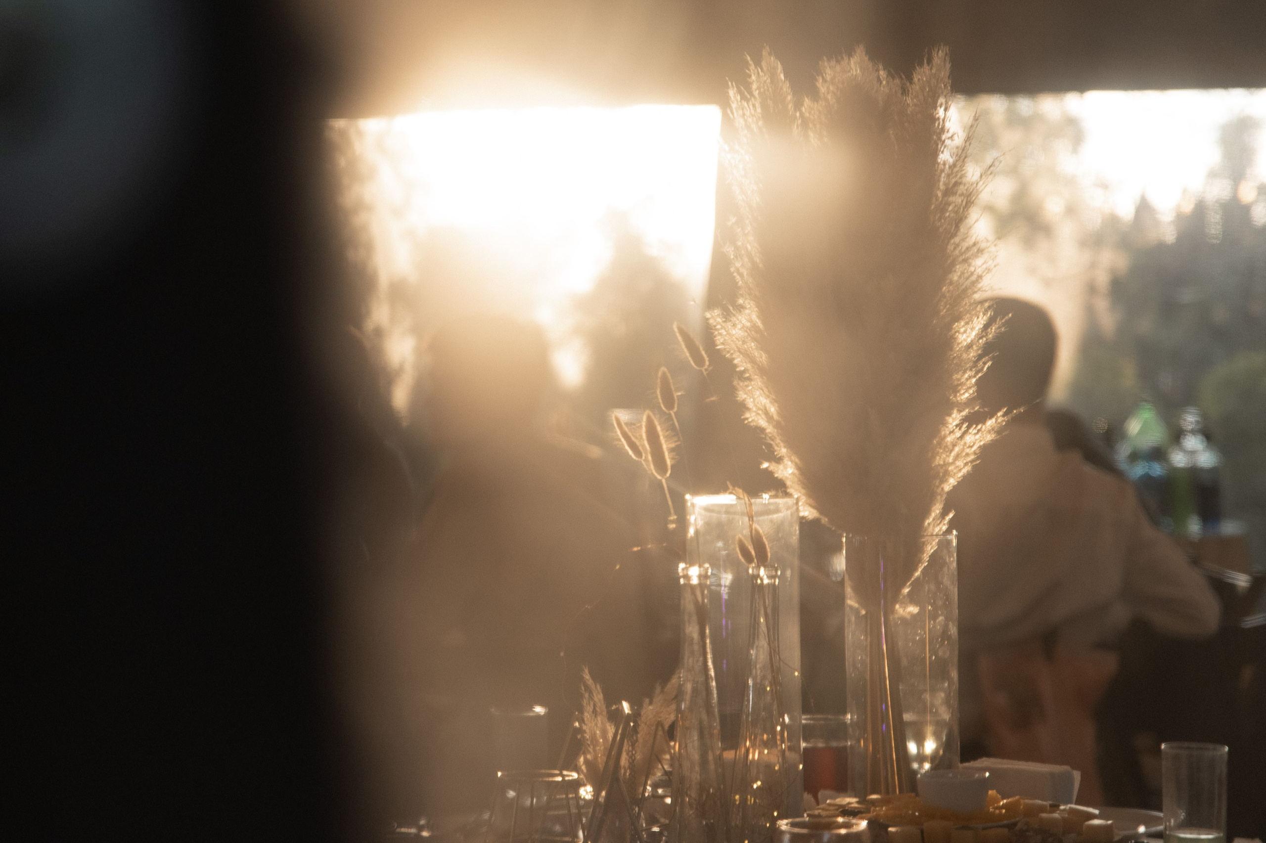 Свадьба в мини-отеле "Таежный". Ярослава Ерина — свадебный фотограф в Москве