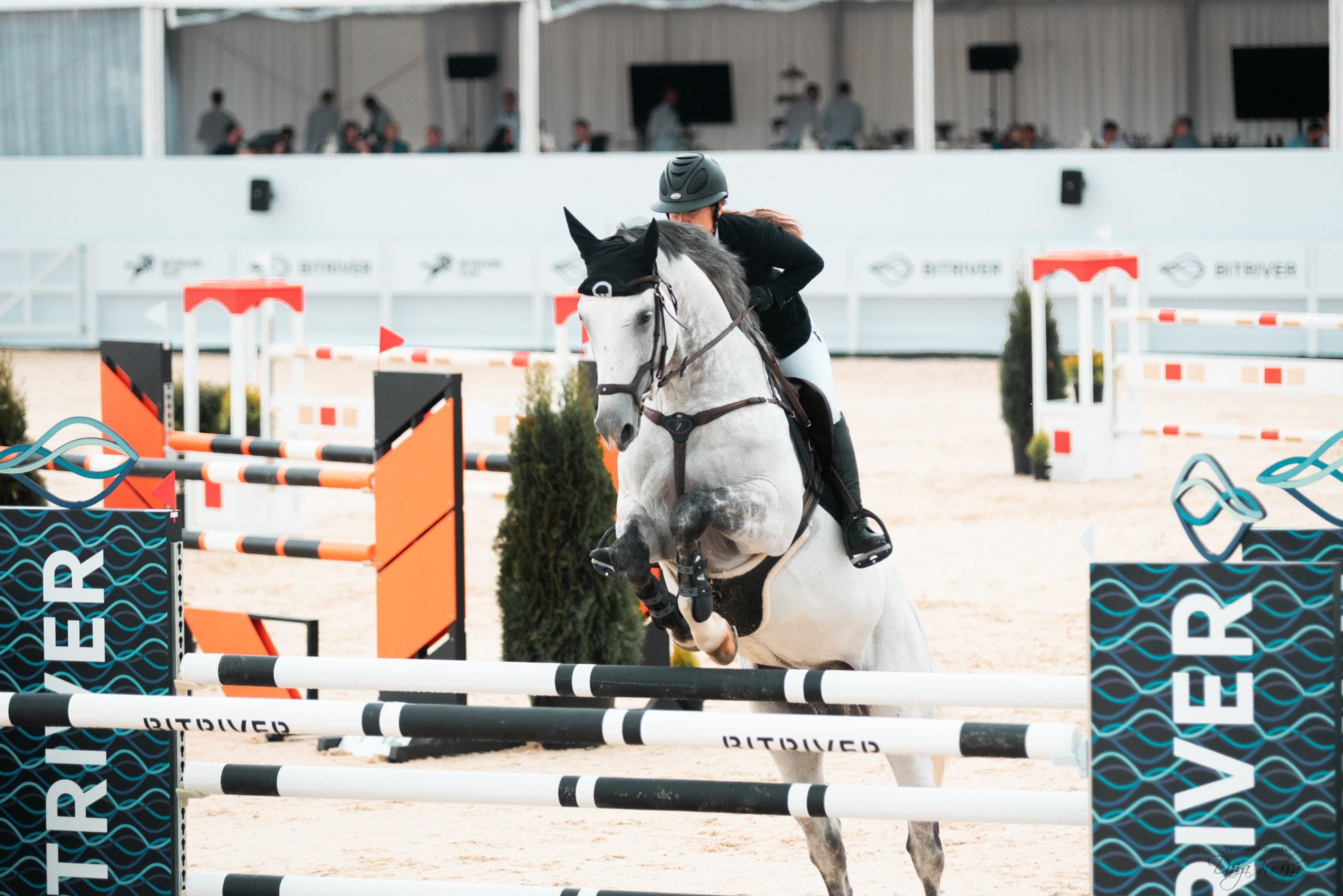 BITRIVER CUP 2023. Конный фотограф Куракина Дарья • Фотосессии с лошадьми