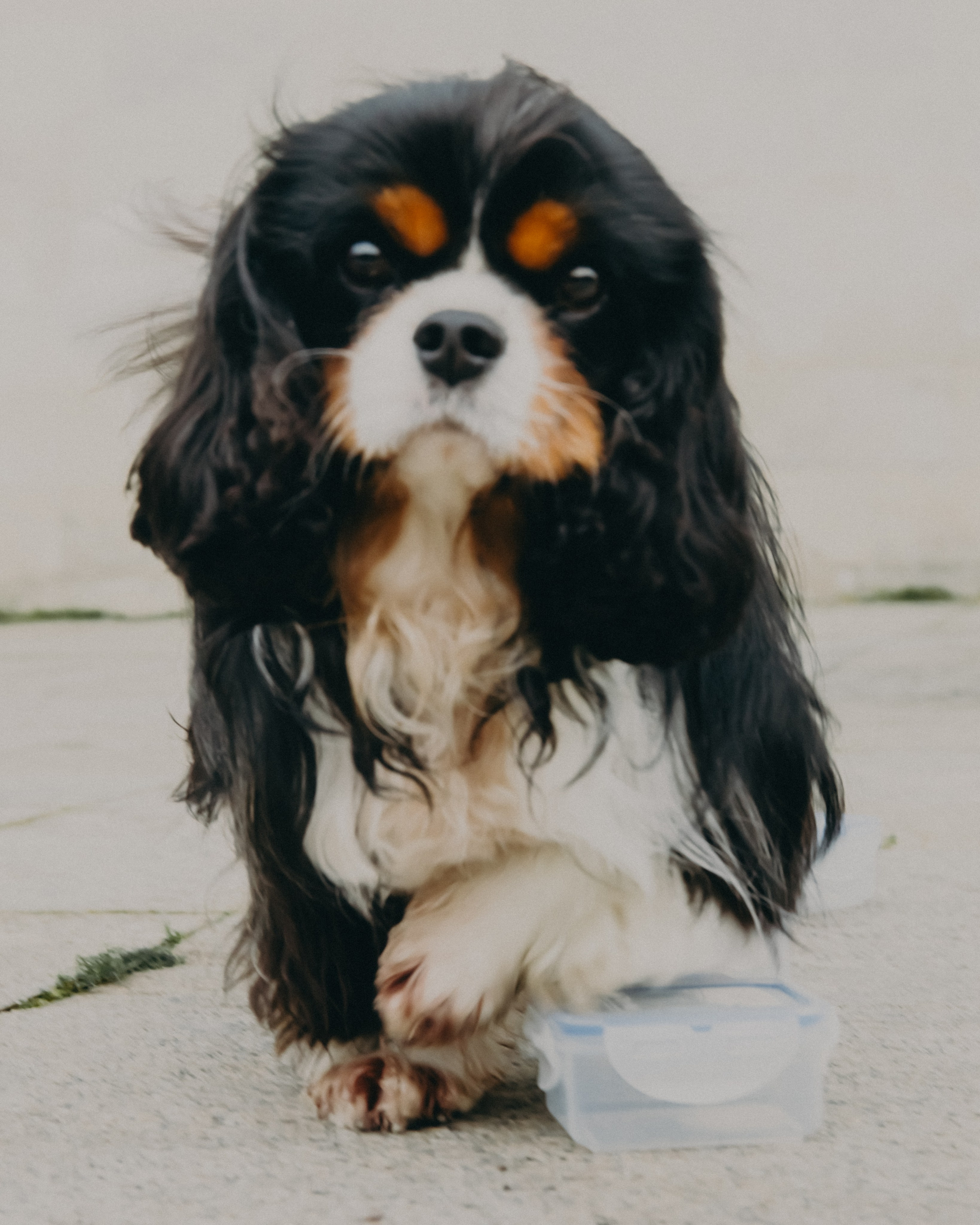 Гилдин. Портретный фотограф Ванинен Анастасия. Санкт-Петербург