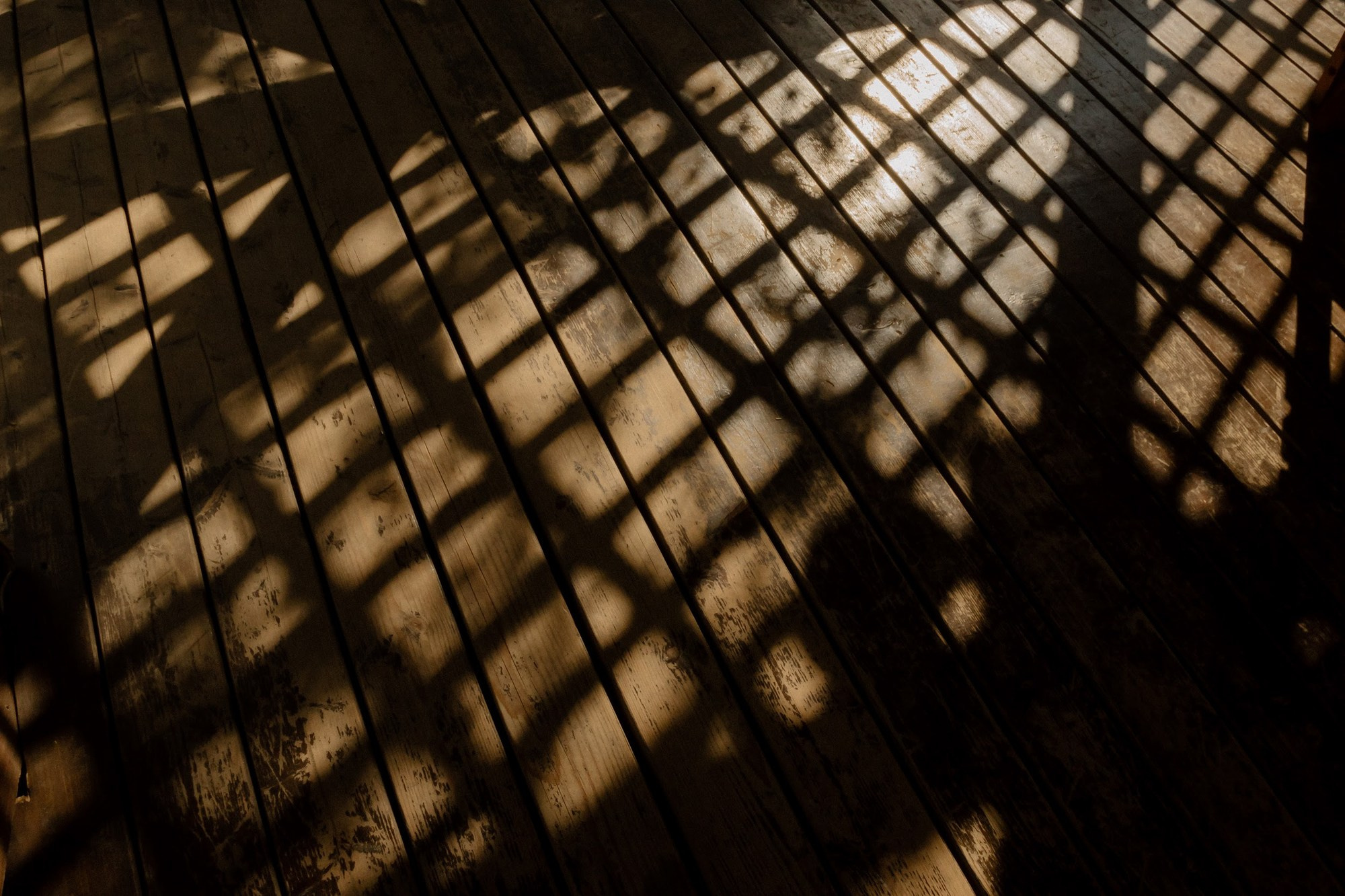 Wedding. Свадебные и портретный фотограф — Кирилл Зорин