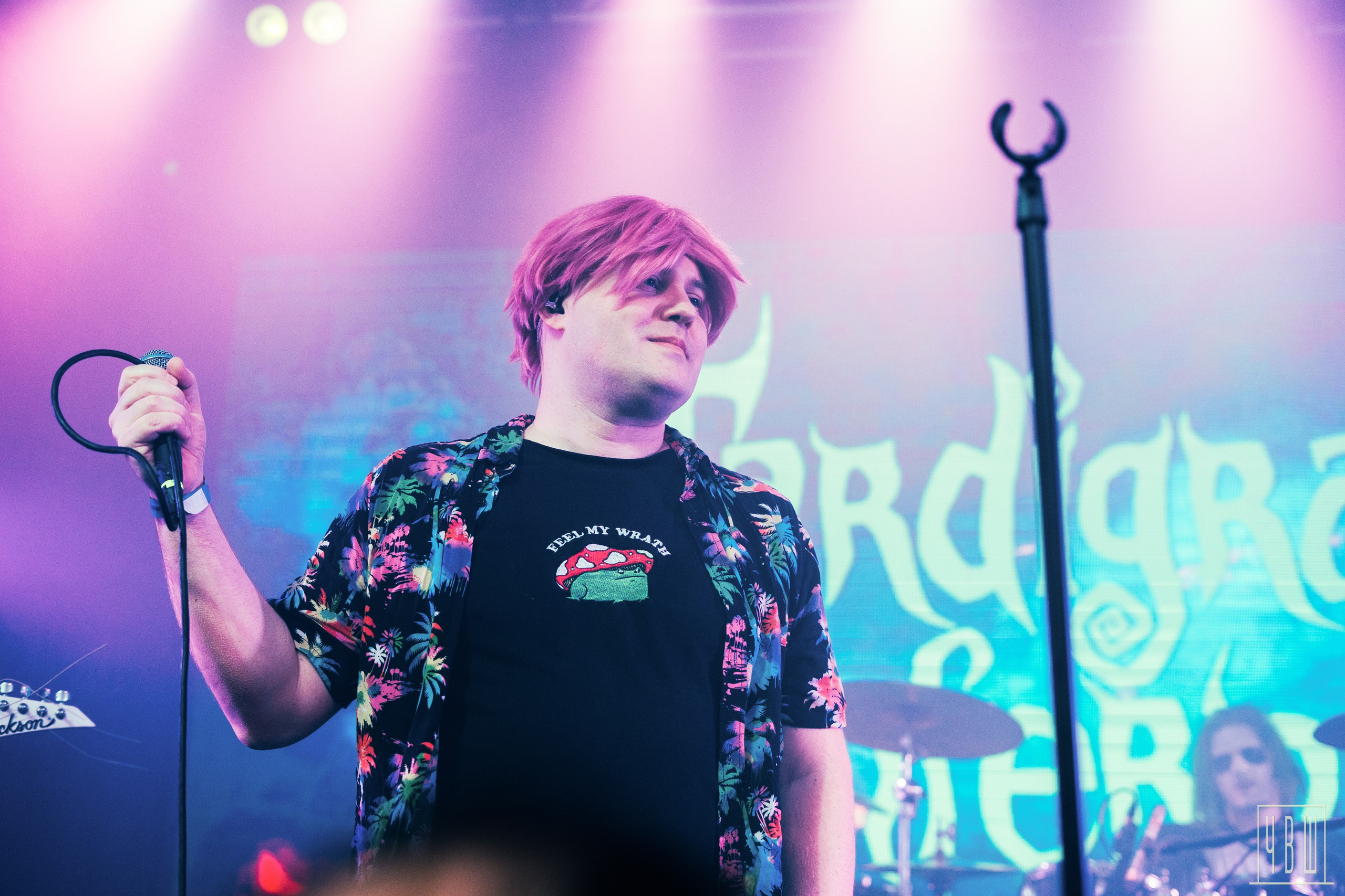 Tardigrade Inferno, 01.11.2025, Factory 3. Человек в Шляпе