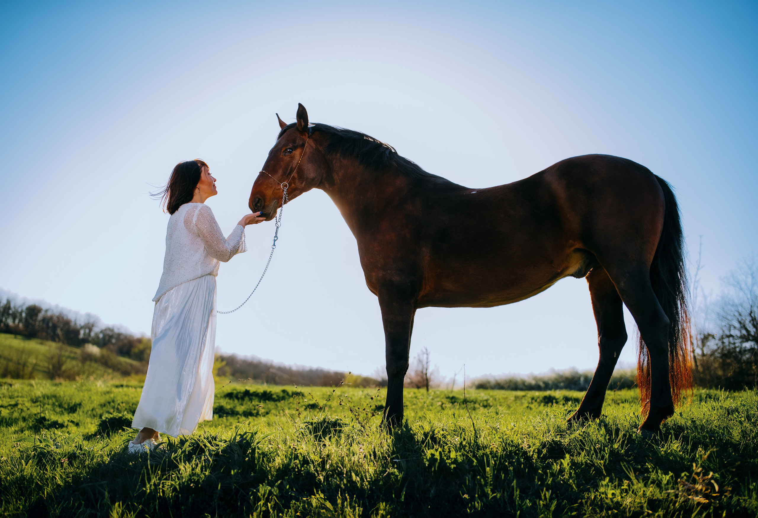 Лена и Сархан. Фотограф-анималист Ксендзова Кристина