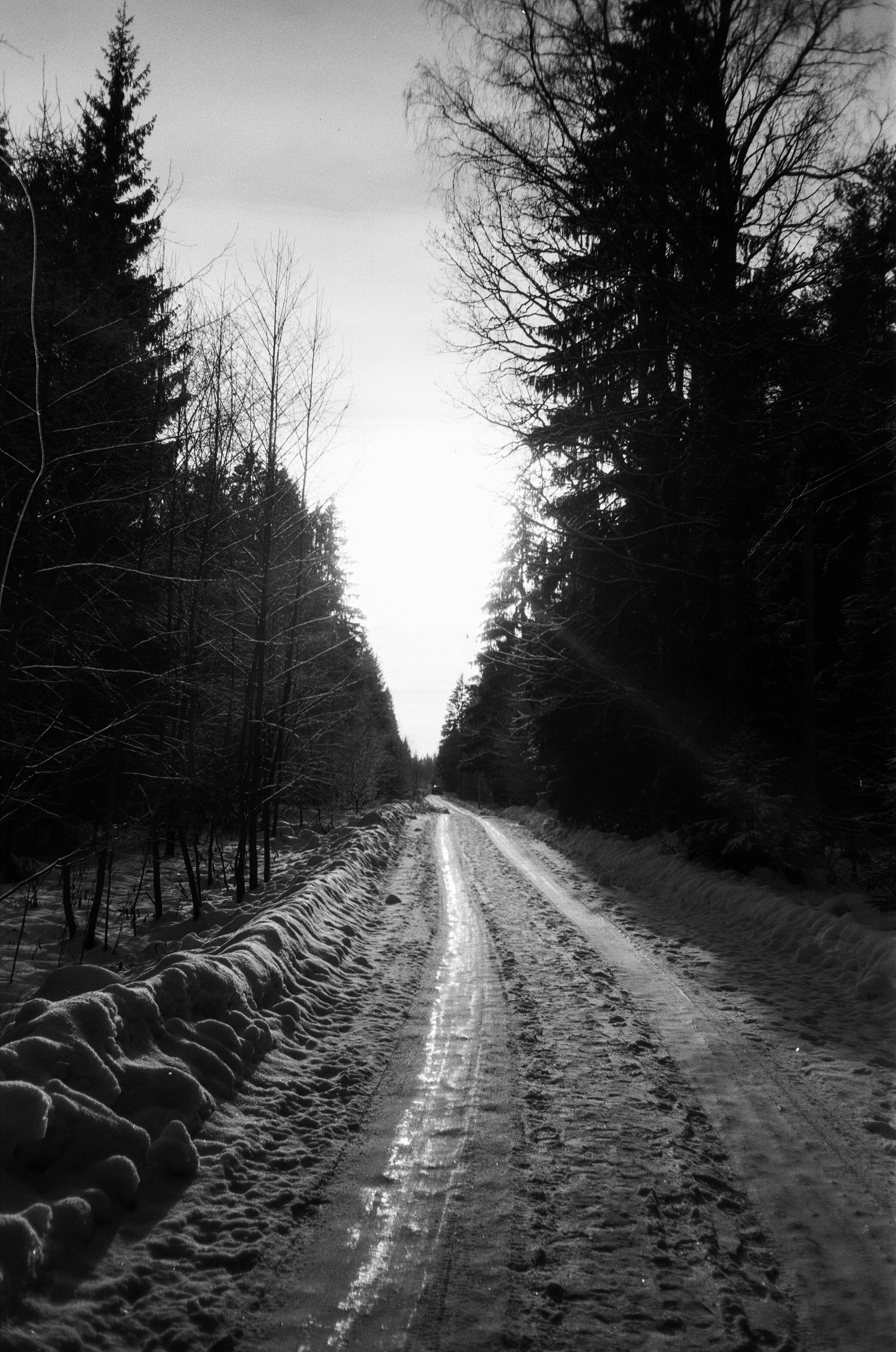 Minox 35GT / Тасма Т-25 ISO 100 / Давыдовское, Лукино