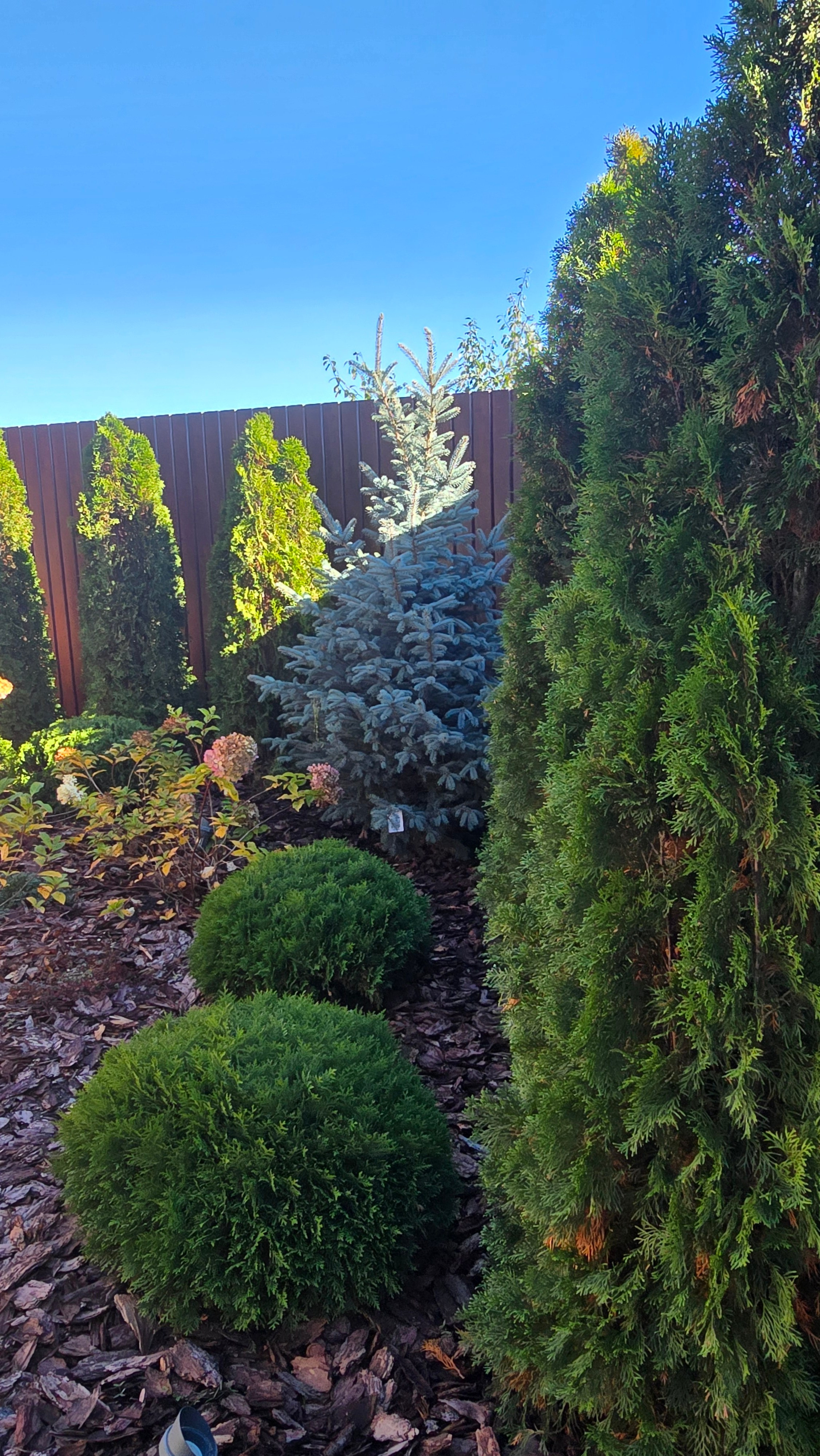 Тати. Дизайн интерьера, мебели и ландшафта на КМВ | OXY Design