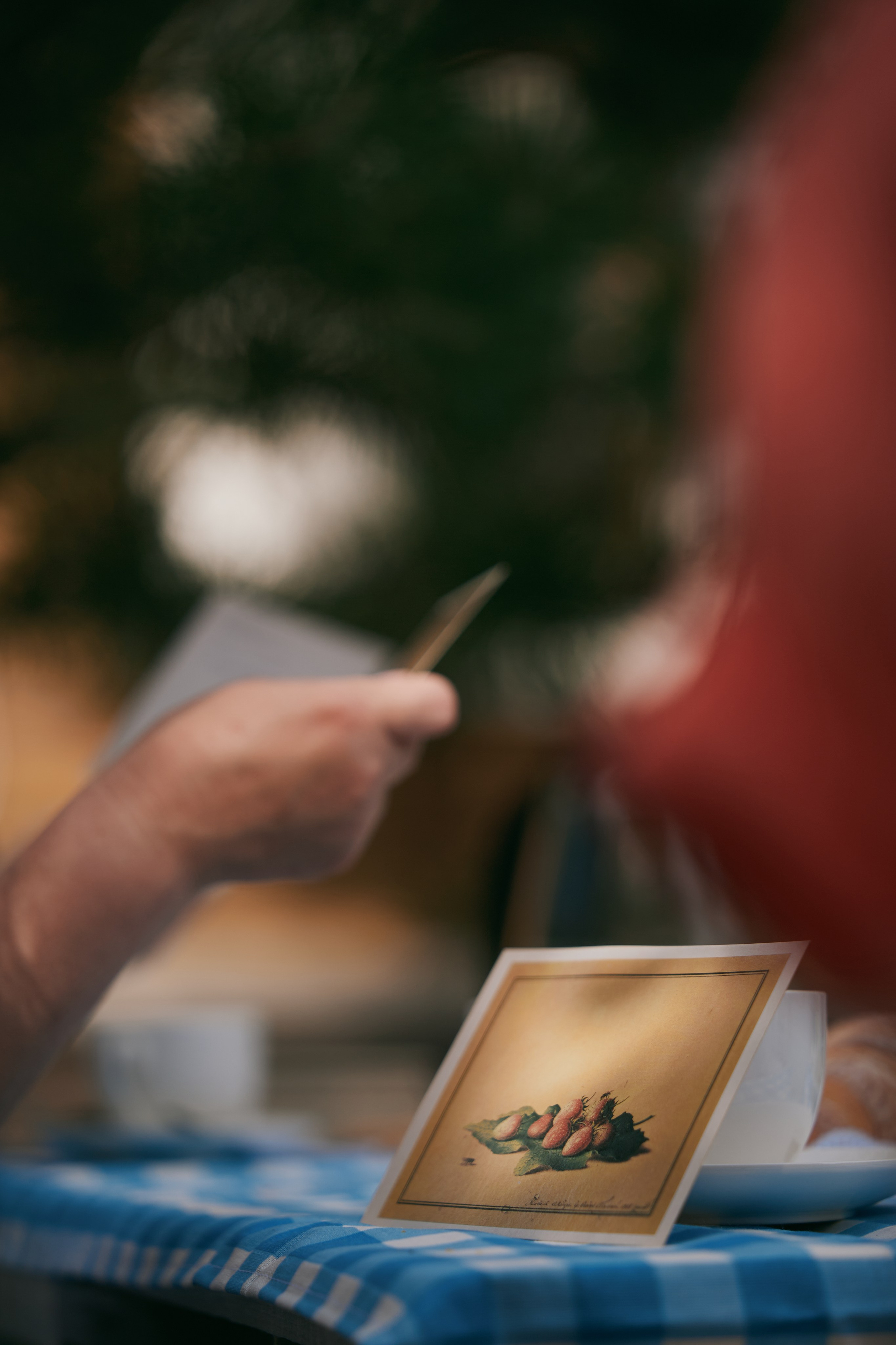 Завтрак в шляпках. Фотограф и видеограф в Кургане Леонид Корнильев