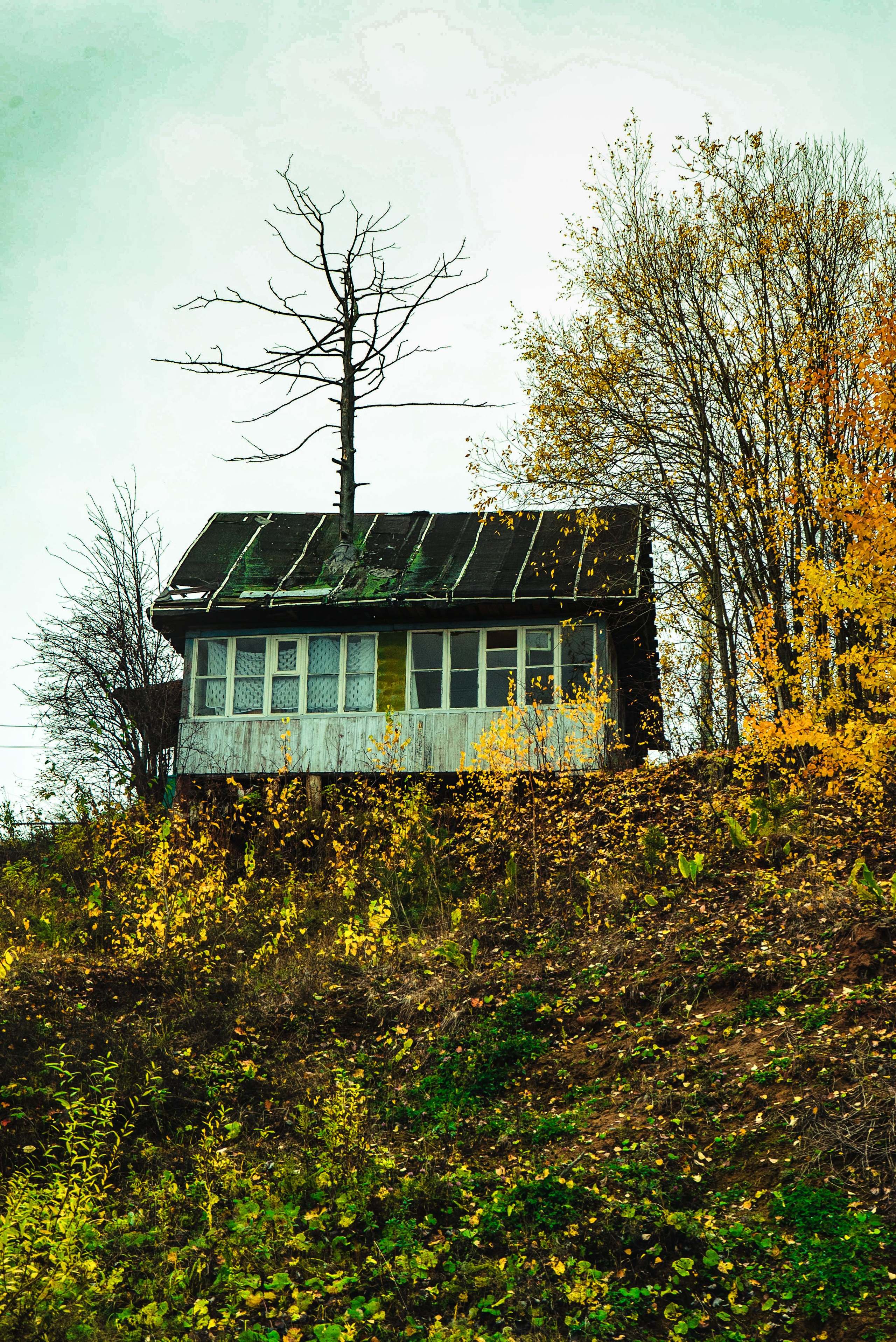Фотографии Природы Урала, Пермского края, Хохловка. Мари Линёк-Стельмах Фотохудожник Санкт-Петербург/Урал