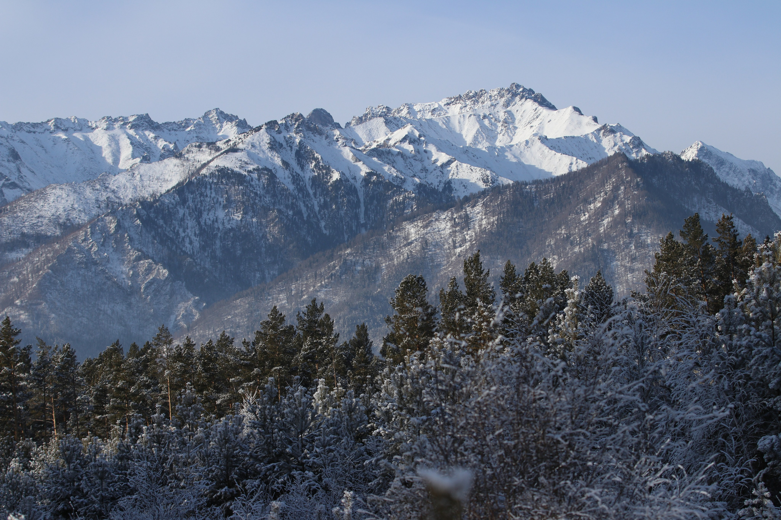 Аршан. Январь 2024. Путешественник-фотограф из Санкт-Петербурга Татьяна Свистулина