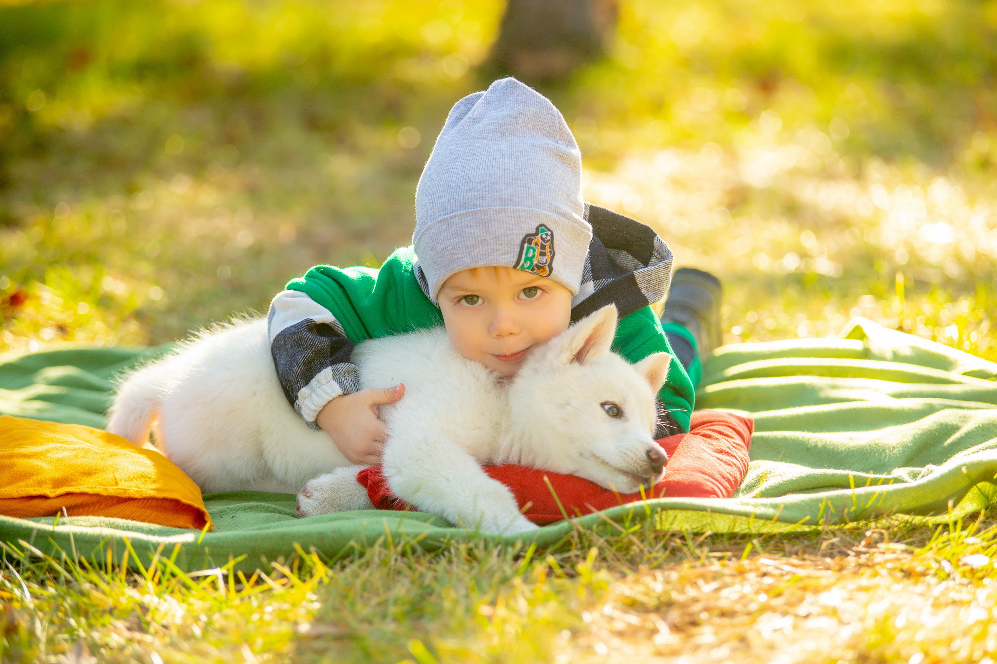Фотосессия с хаски Иркутск. Фотограф видеограф Иркутск фото видео студия Алексея Марамзина