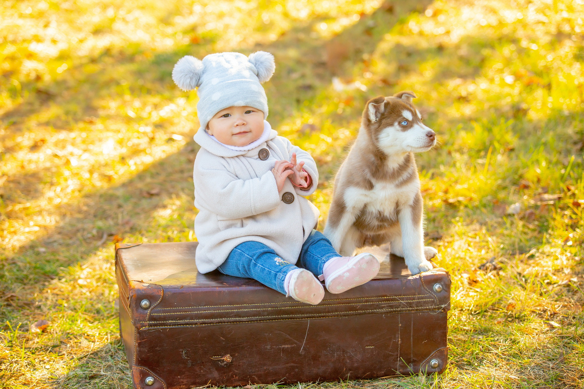 Фотосессия с хаски Иркутск. Фотограф видеограф Иркутск фото видео студия Алексея Марамзина