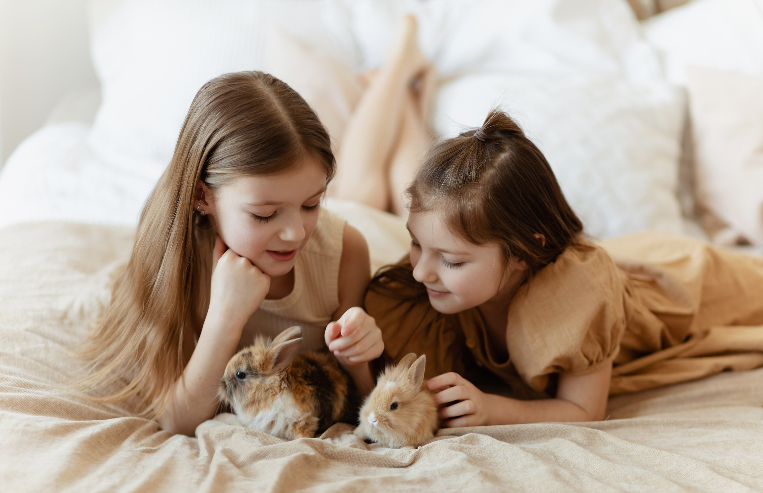 Roger Rabbit. Репортажный и свадебный фотограф в Минске Шамко Анатолий