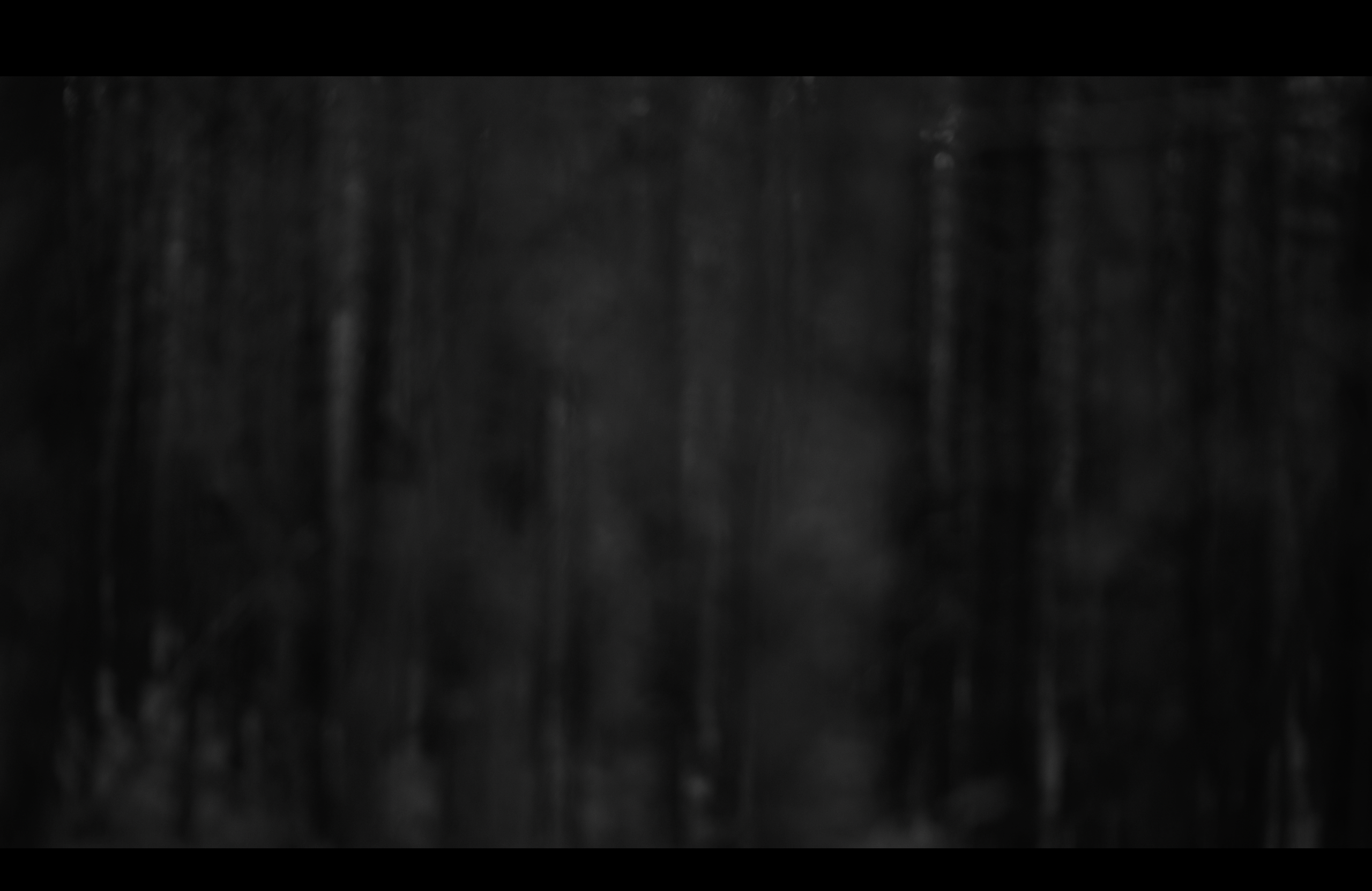 Видеоинсталляция Место Пробела. Художественная группа «Нежные Бабы»