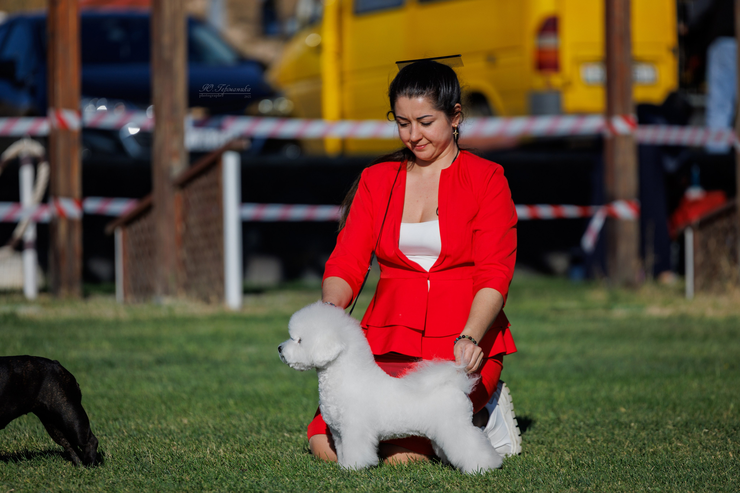 Ереван 14-16.10.2025. Фотограф-анималист Юлия Германика