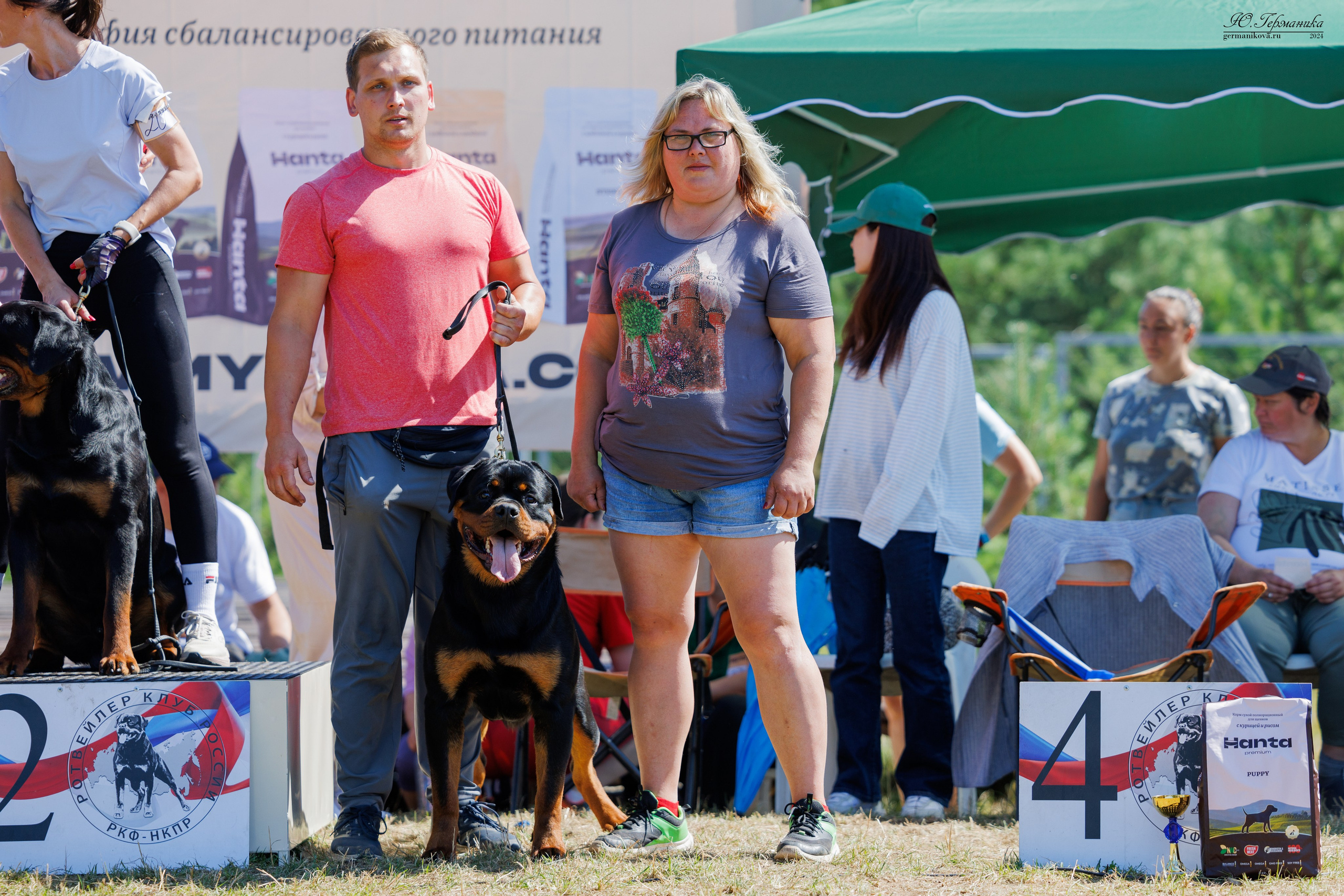 ПК и КЧК ротвейлеры Тверь 6-7.07.2024. Фотограф-анималист Юлия Германика