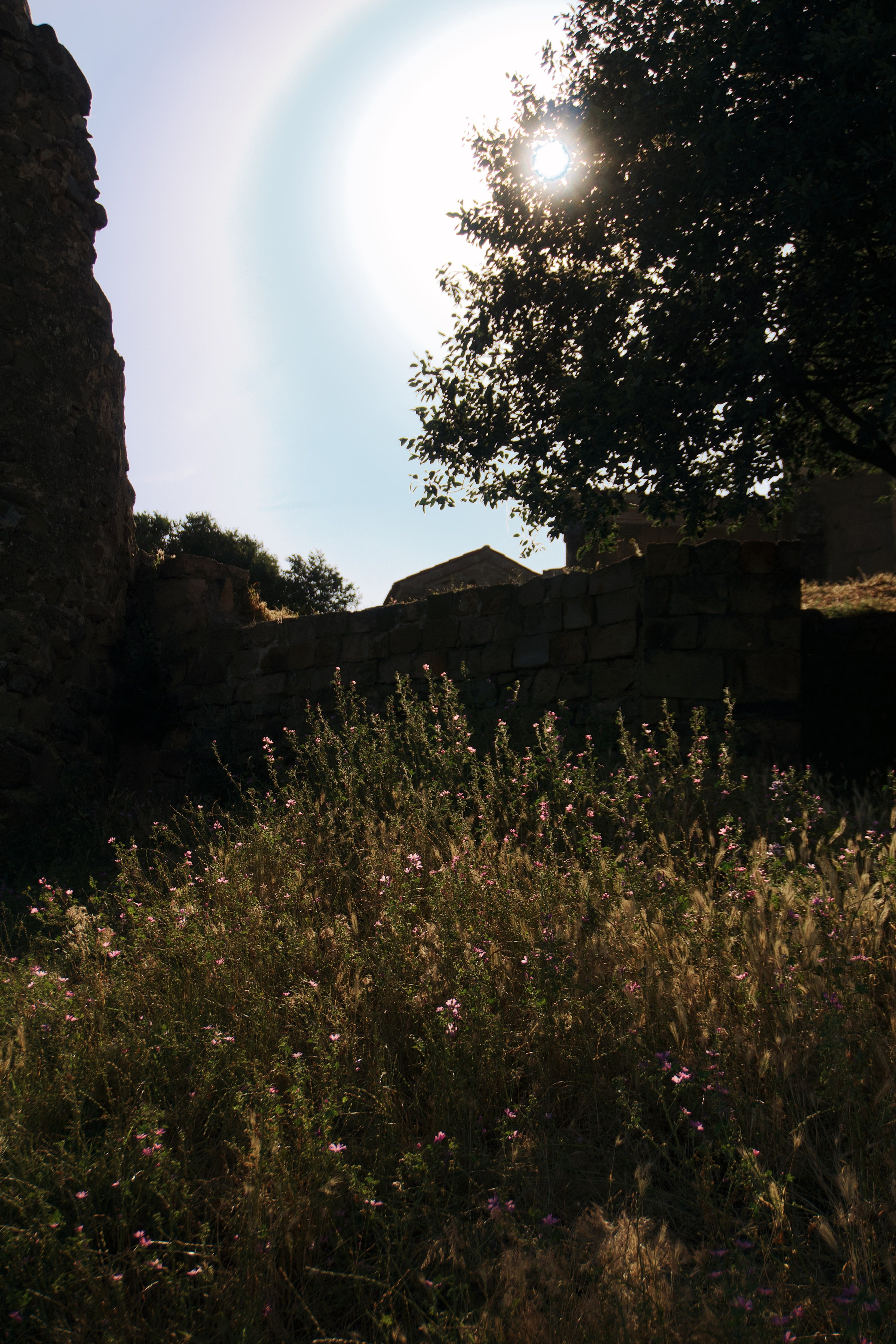 Тбилиси. Татьян гертье