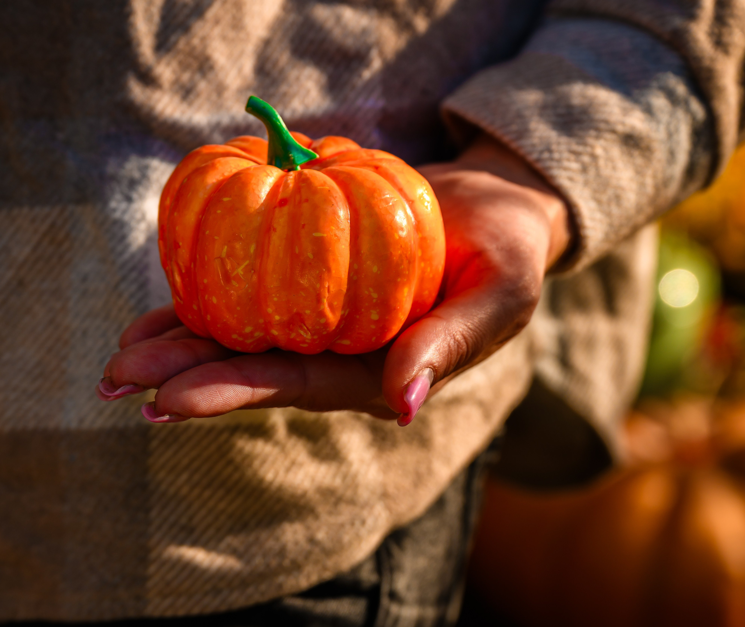 Семейные и детские фотосессии. Студийный и свадебный фотограф и видеограф в Севастополе — Юлия Макаренко