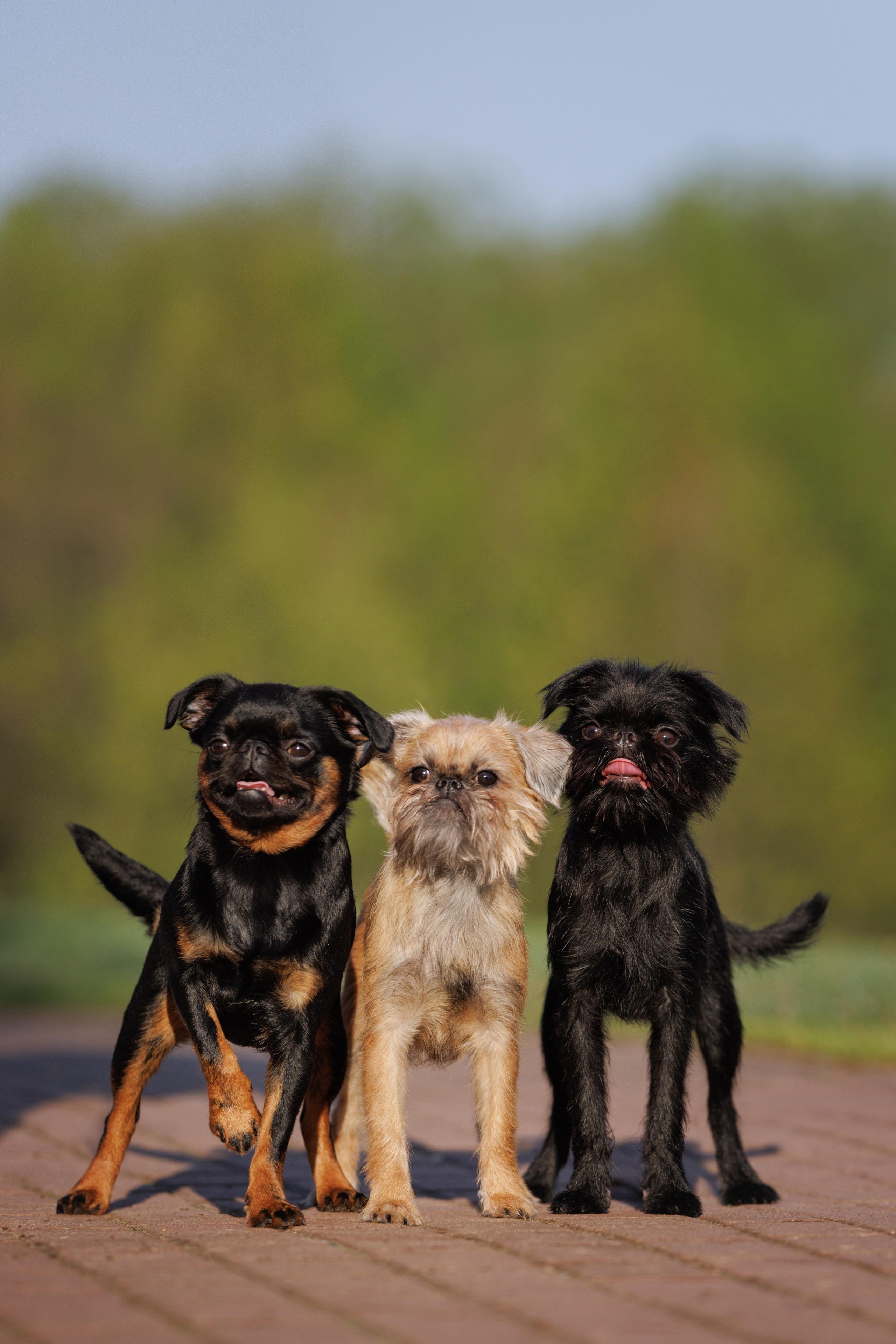 Отзывы. Фотограф Анастасия Ветковская, Москва