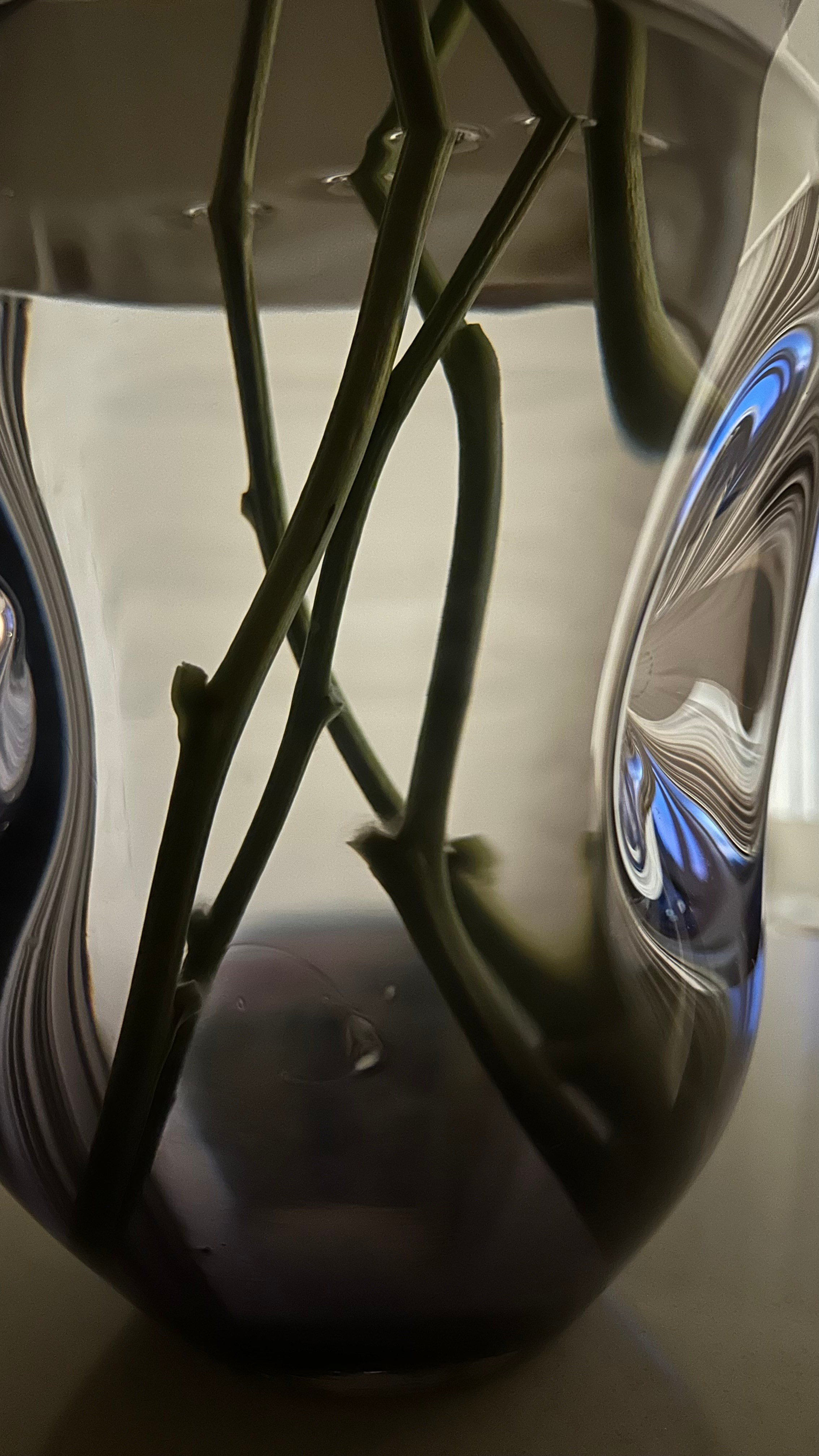 2024. Тащилин Сергей. Фотографии. Жизнь. Хобби