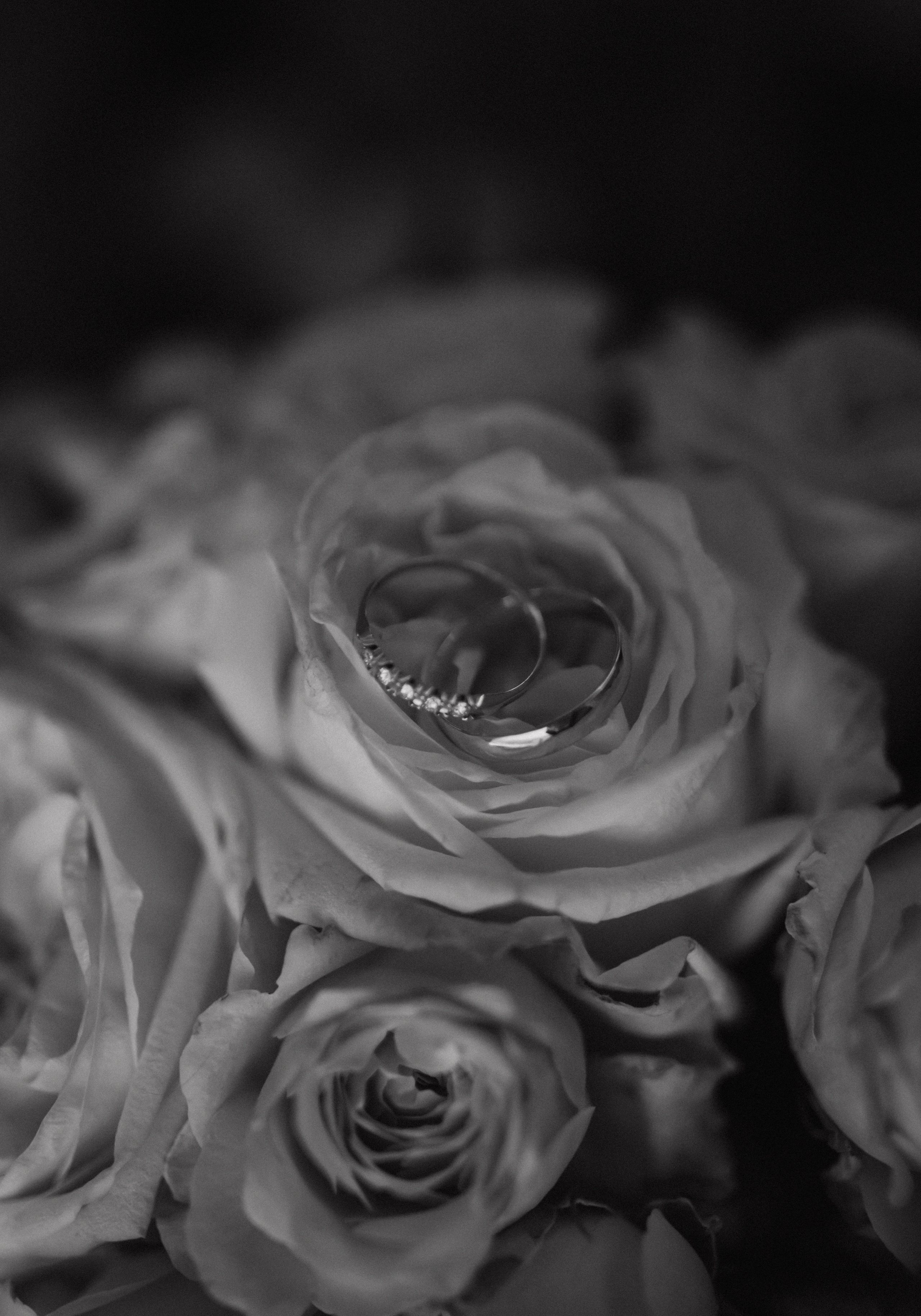 Отзывы. Фотограф Наталия Бирюкова