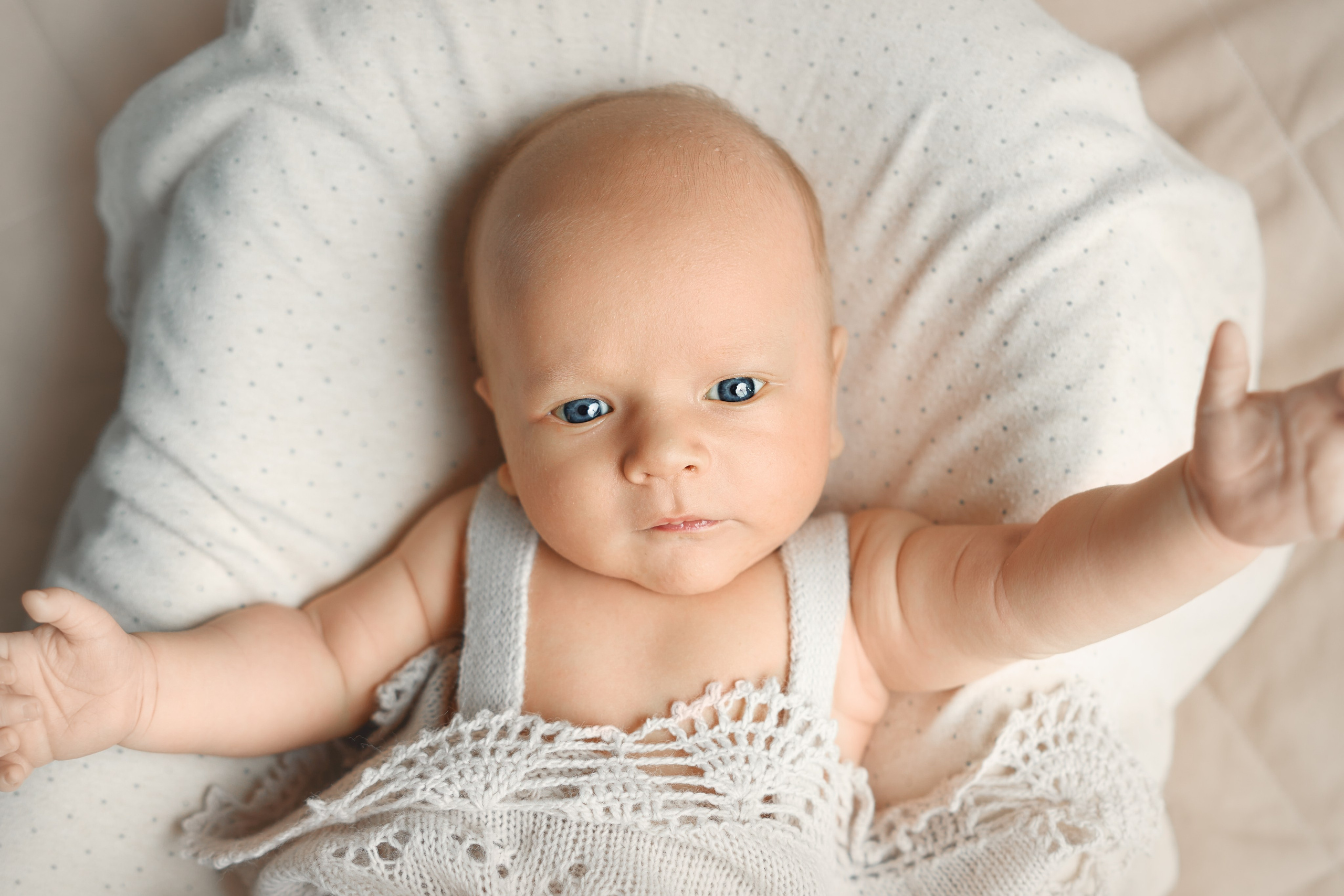 Платон. Фотограф новорожденных во Владивостоке Ромашко Виктория