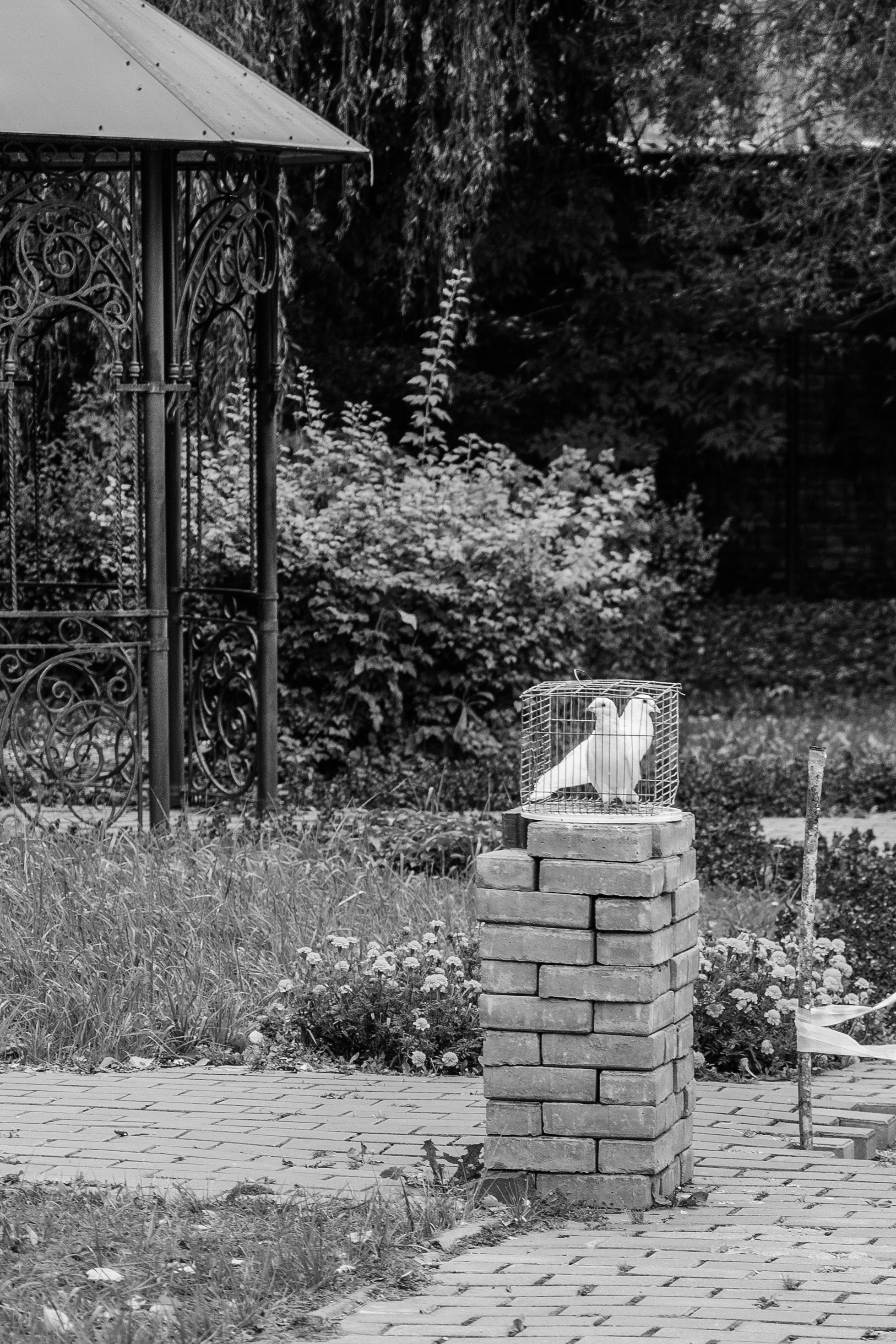 Свадебная фотосессия в Смоленске. Свадебный и репортажный фотограф видеограф Брянск/Москва